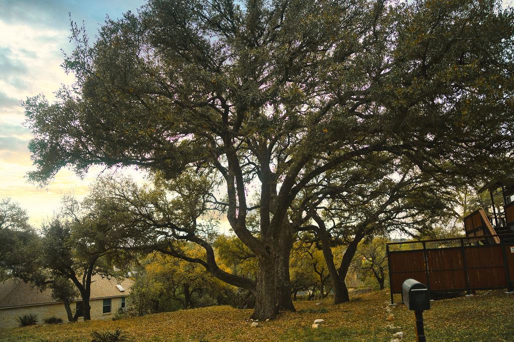 3rd image of 15505 Enid Dr, Austin, TX 78734 | MLS# 1890661