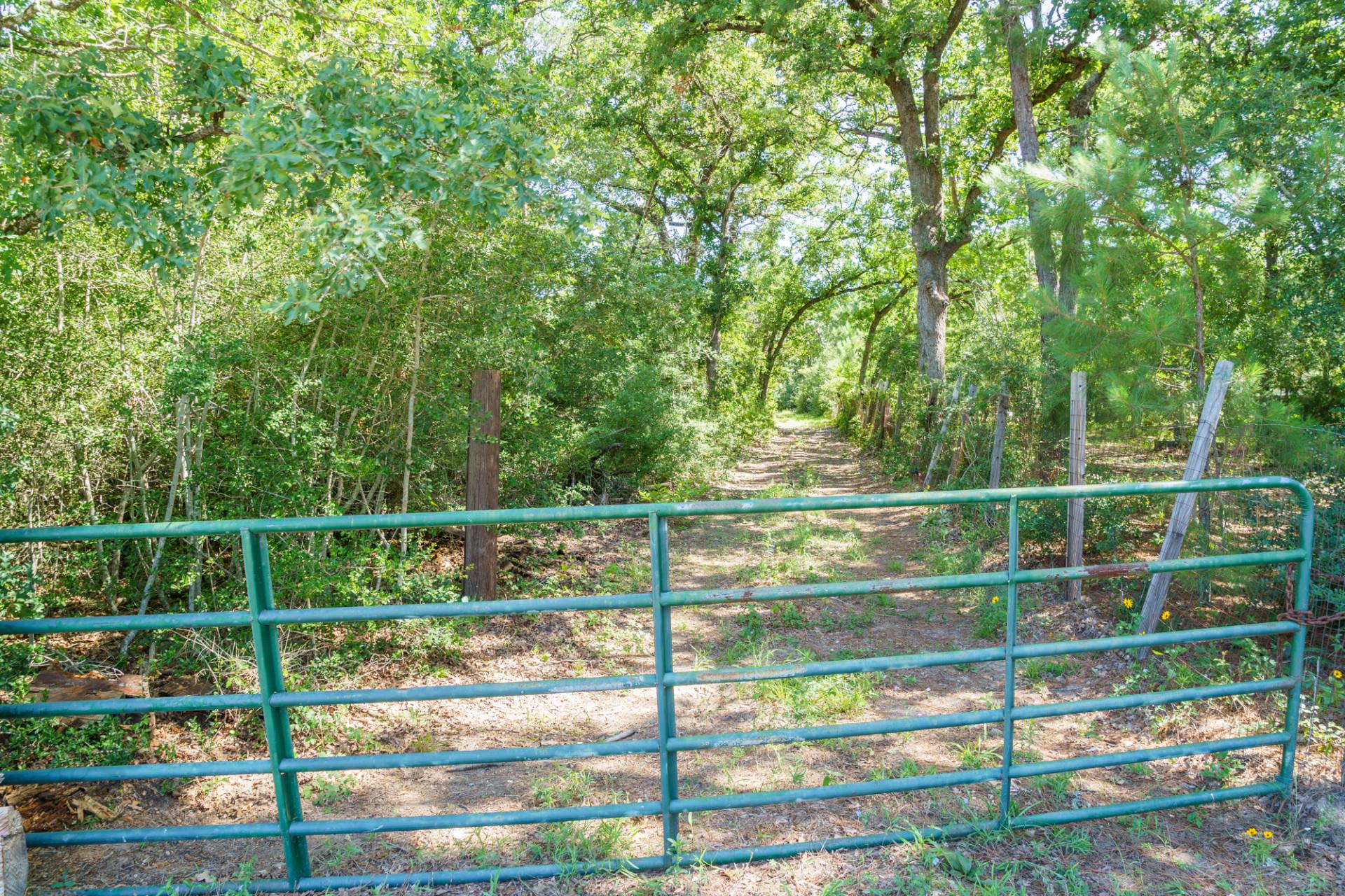 Homes for sale in Paige, TX | 152 Palamino Ct, Paige, TX 78659 | MLS# 8460789