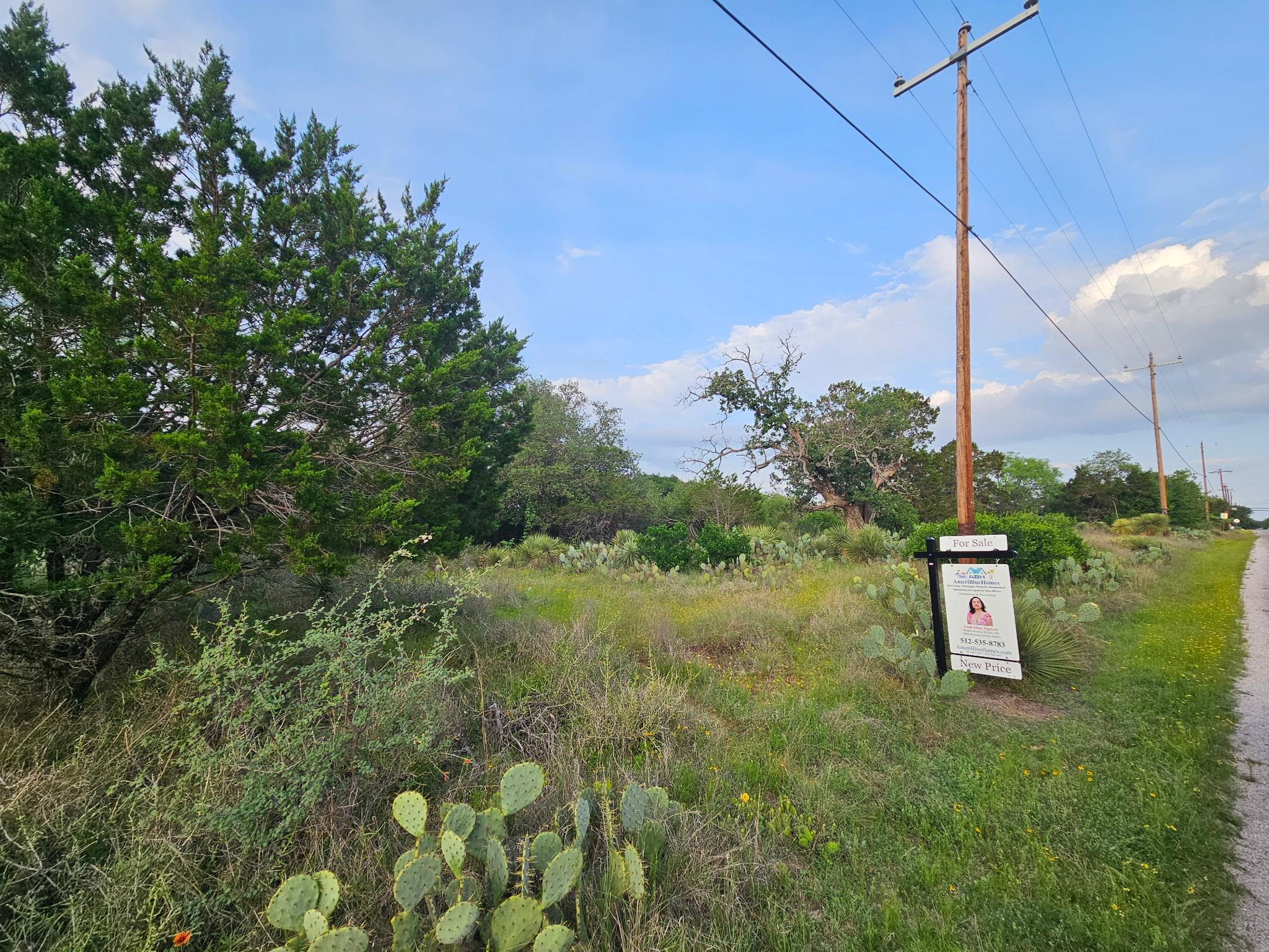 Homes for sale in Granite Shoals, TX | Pid 17064 Sweetbriar Dr, Granite Shoals, TX 78654 | MLS# 1844167