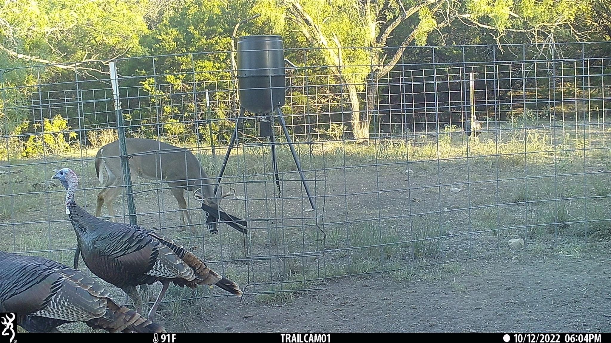 Homes for sale in Comanche, TX | 00 Cr 255, Comanche, TX 76442 | MLS# 7008025