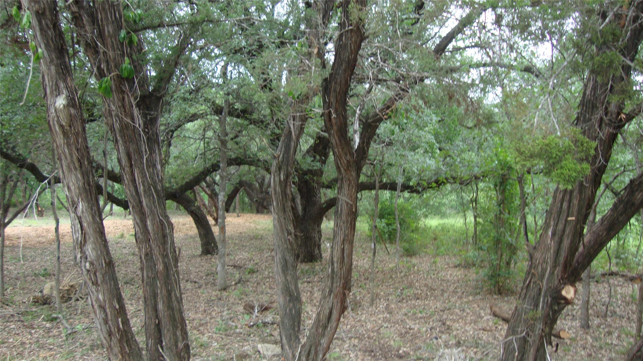 11th image of 11112, 11106 Travis Dr, Jonestown, TX 78645 | MLS# 3882485