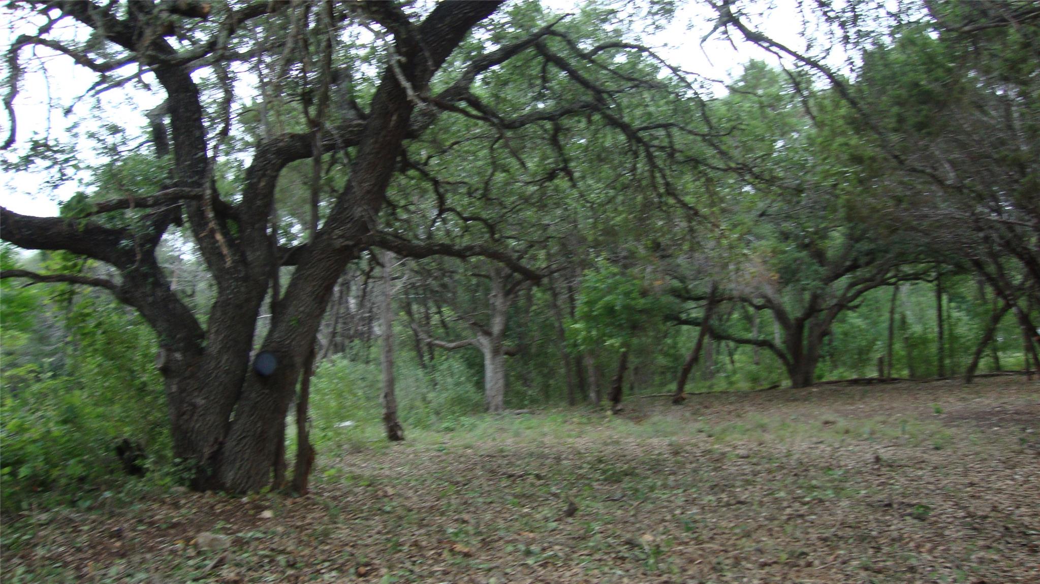 1st image of 11112, 11106 Travis Dr, Jonestown, TX 78645 | MLS# 3882485
