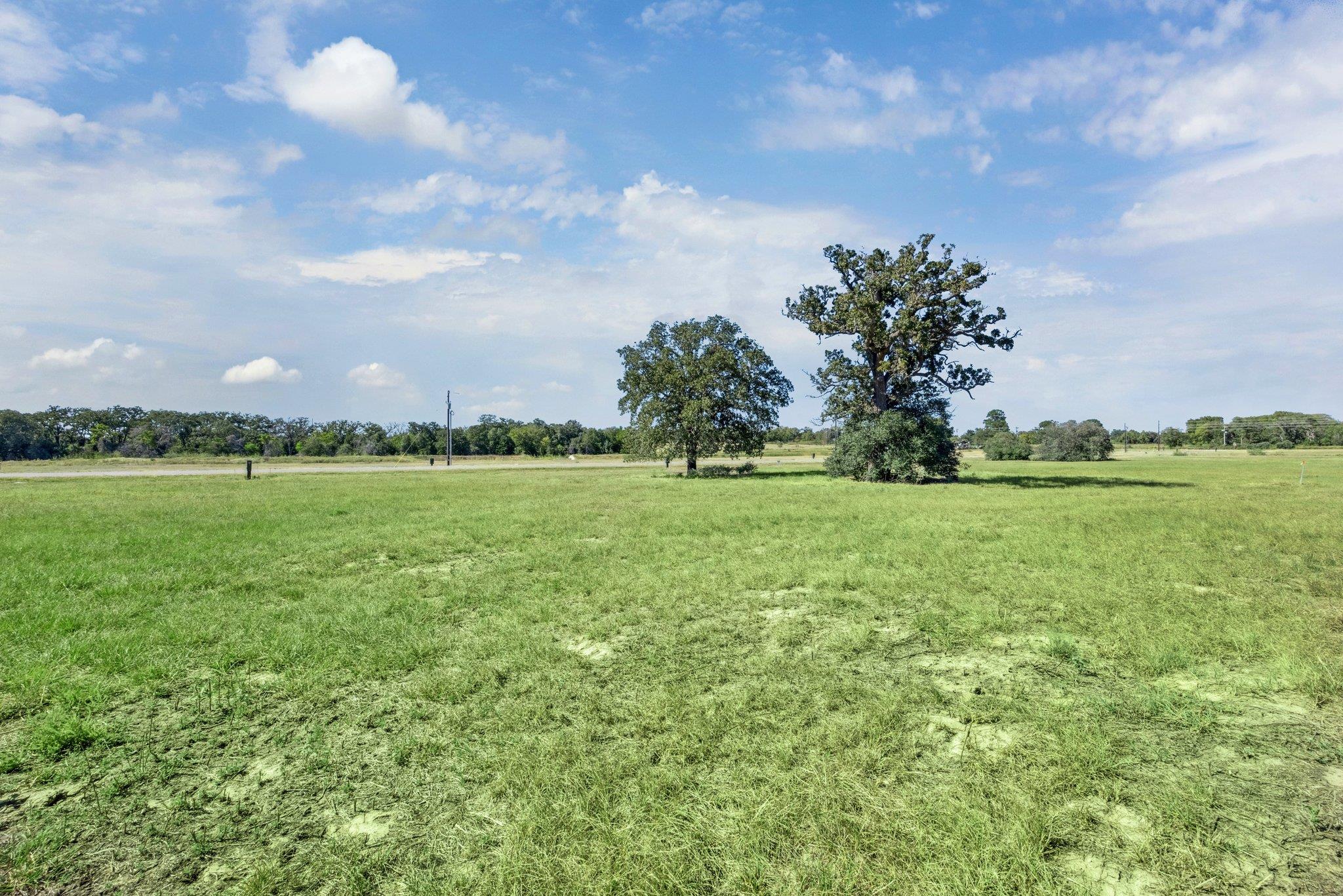 Homes for sale in Rosanky, TX | 105 Nyala Ln, Rosanky, TX 78616 | MLS# 3571313