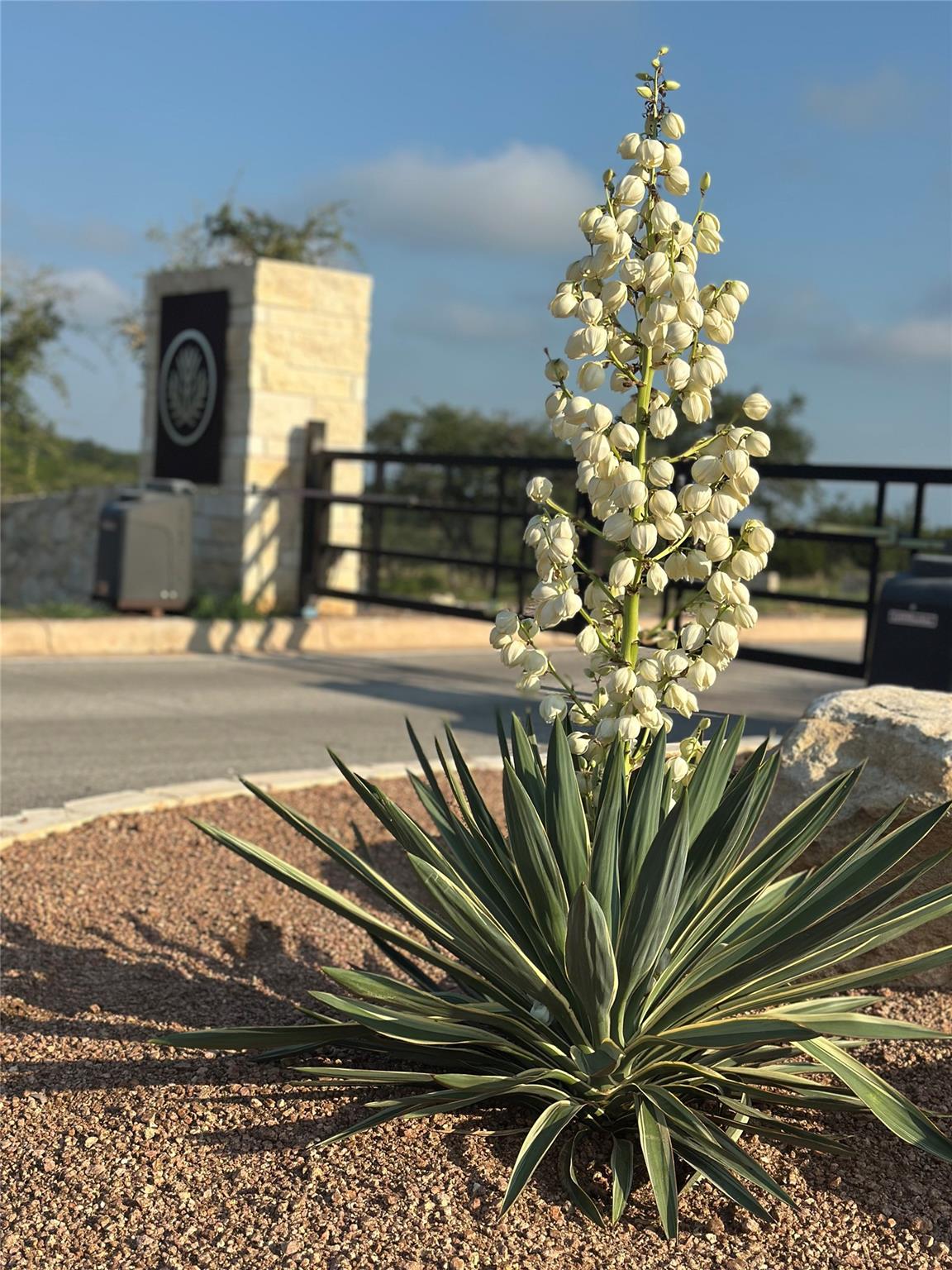 Homes for sale in Round Mountain, TX | Lot 10 Round Mountain Reserve Dr, Round Mountain, TX 78663 | MLS# 9616238