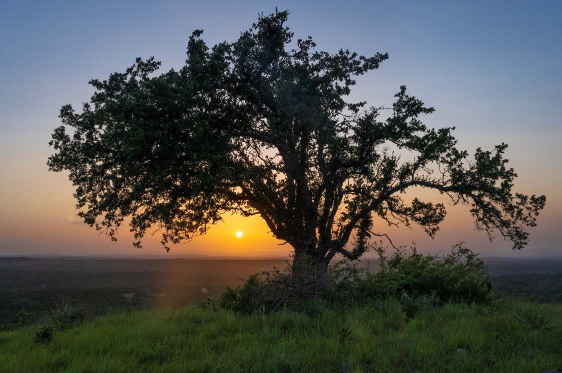 Homes for sale in Round Mountain, TX | Lot 10 Round Mountain Reserve Dr, Round Mountain, TX 78663 | MLS# 9616238