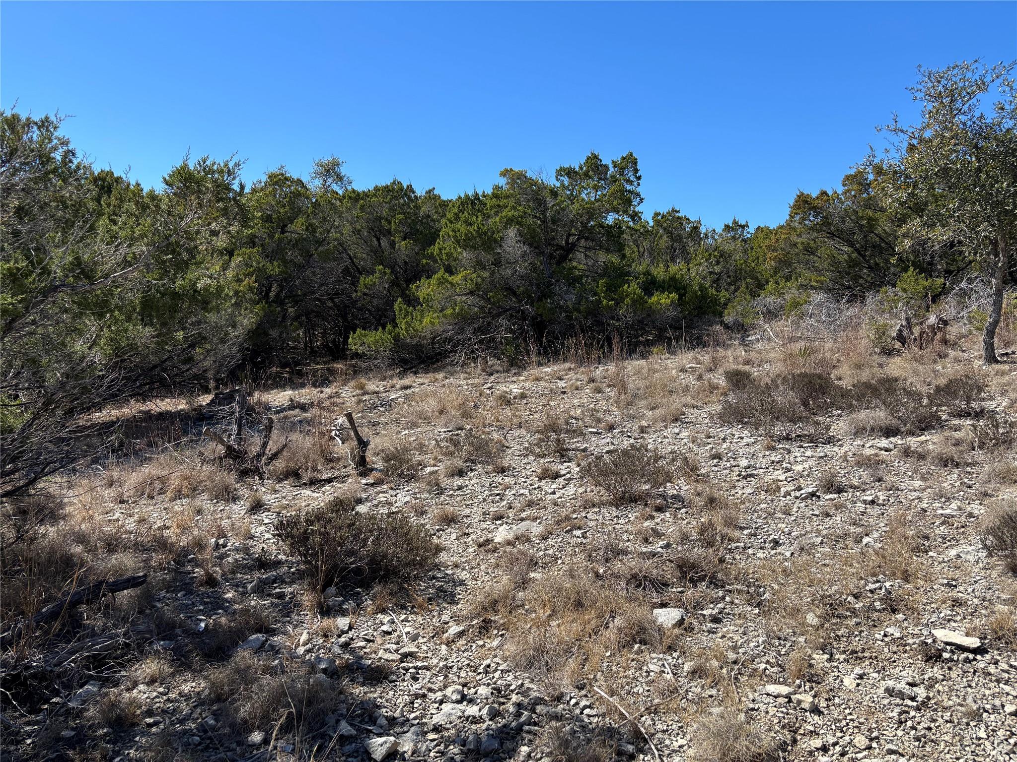 Homes for sale in Spring Branch, TX | 0 Fawn River Dr, Spring Branch, TX 78070 | MLS# 6298542