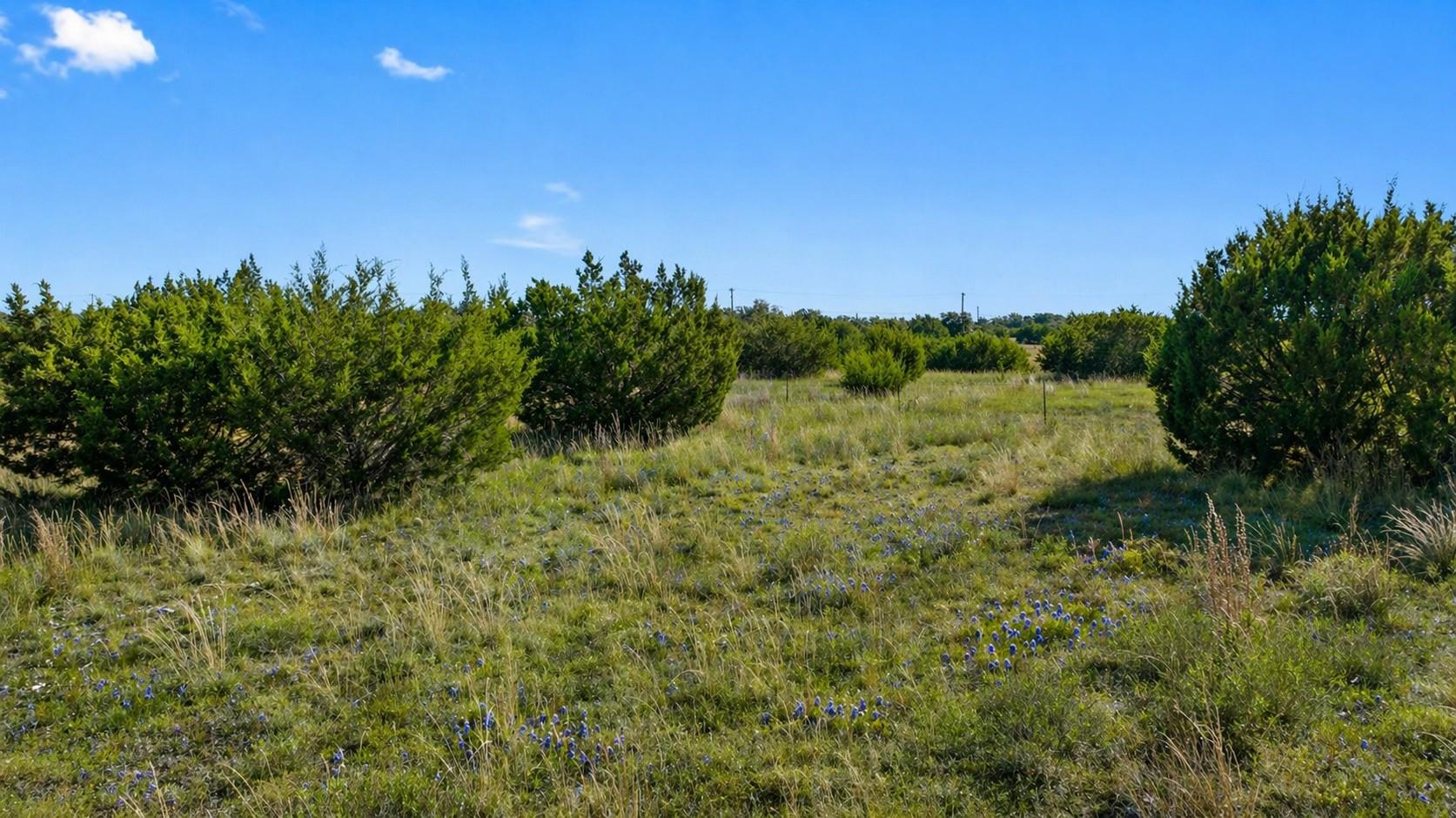 image of 386 Appaloosa Run, Round Mountain, TX 78663 | MLS# 8546161