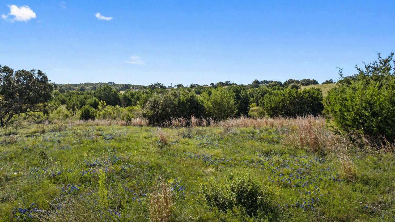 7th image of 386 Appaloosa Run, Round Mountain, TX 78663 | MLS# 8546161