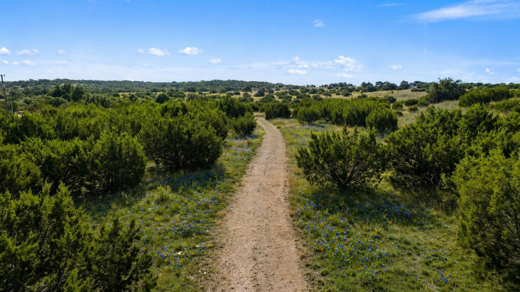 2nd image of 386 Appaloosa Run, Round Mountain, TX 78663 | MLS# 8546161