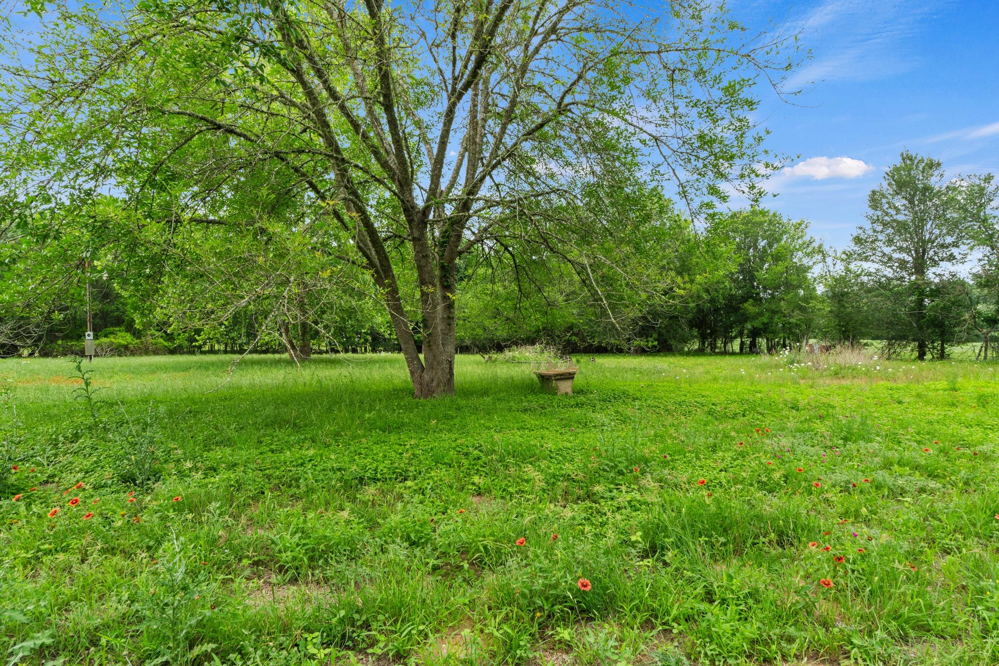Homes for sale in Smithville, TX | 429 Hidden Shores Rd, Smithville, TX 78957 | MLS# 5746184