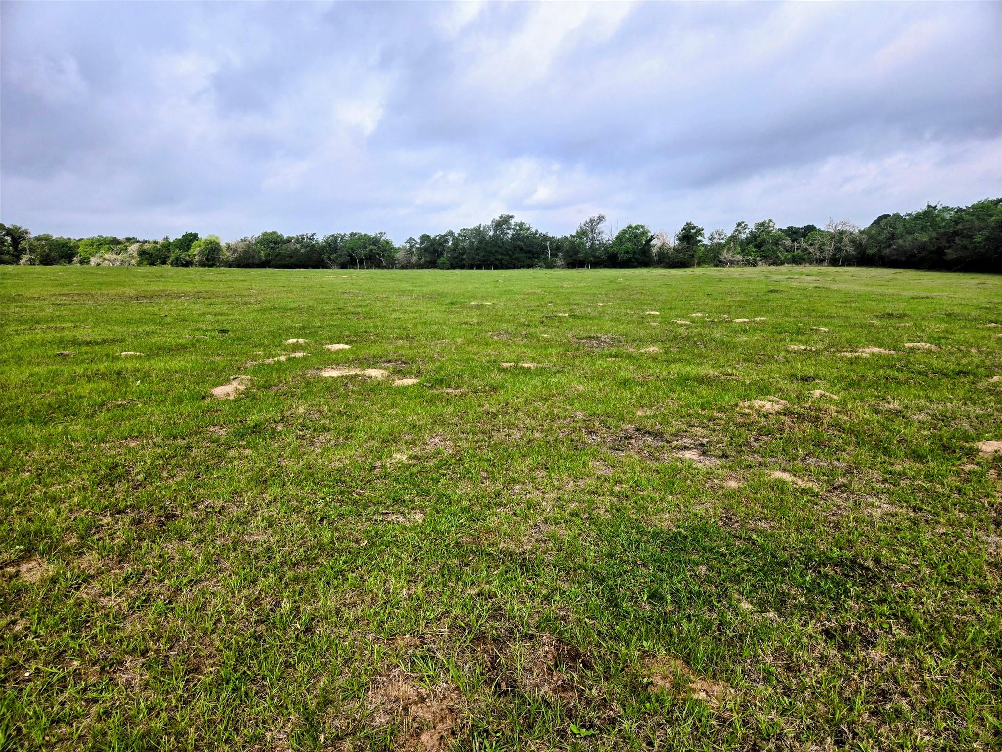 1st image of 0 Hofferek Rd, Rosanky, TX 78953 | MLS# 2634489