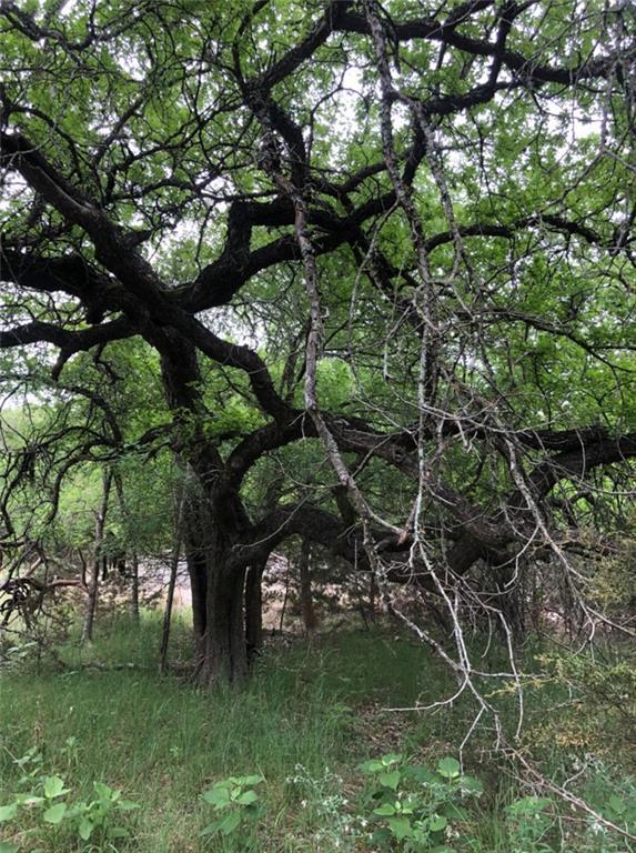 Homes for sale in Wimberley, TX | 76 E Valley Springs Rd, Wimberley, TX 78676 | MLS# 4220718