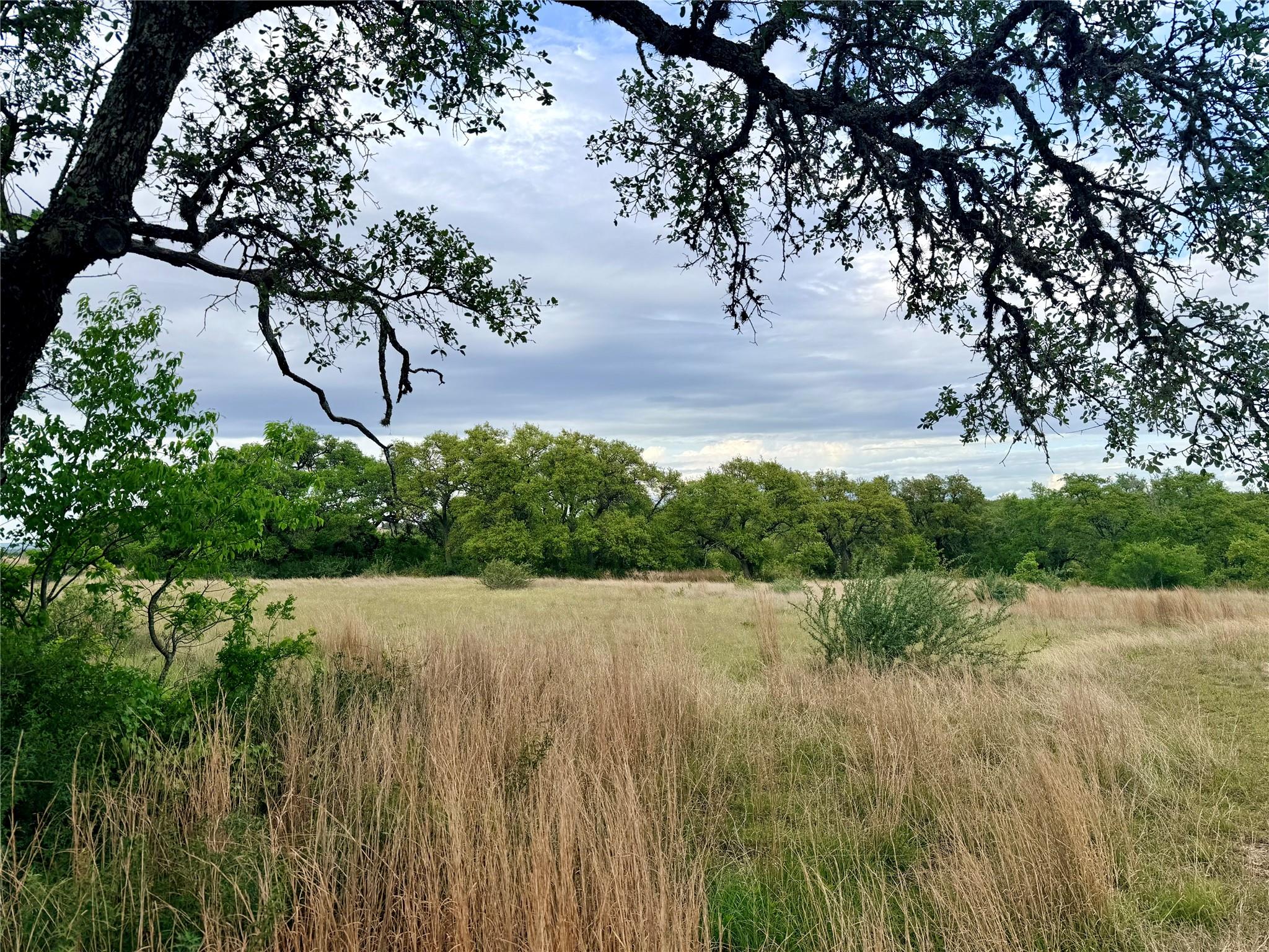 2nd image of 768 N Walnut Springs Rd, Johnson City, TX 78636 | MLS# 4338284