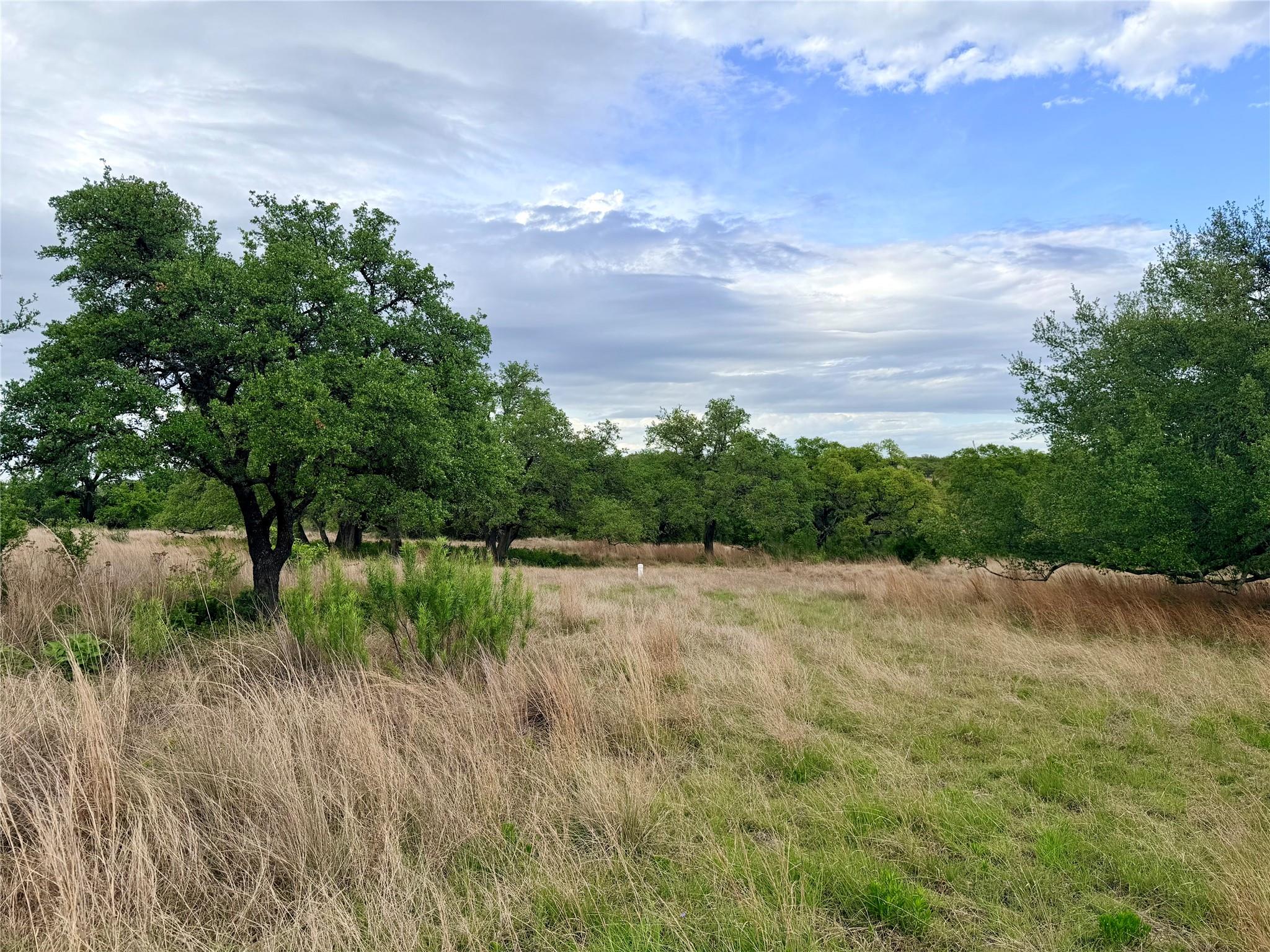 1st image of 768 N Walnut Springs Rd, Johnson City, TX 78636 | MLS# 4338284