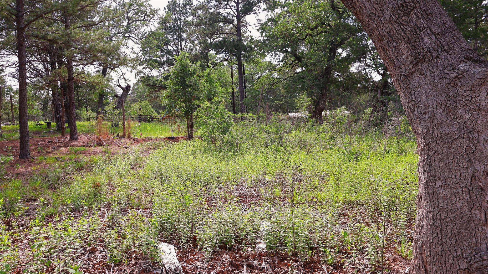 5th image of 200 Cheyenne Dr, Smithville, TX 78957 | MLS# 7042553