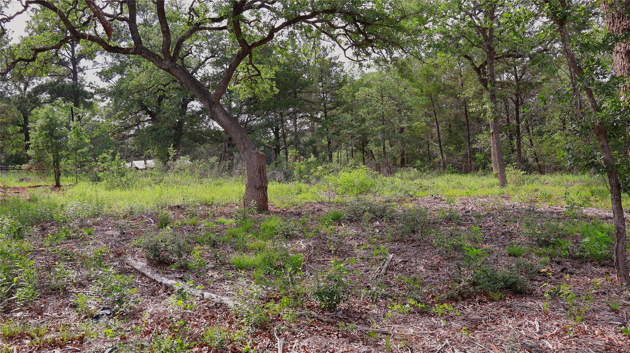 4th image of 200 Cheyenne Dr, Smithville, TX 78957 | MLS# 7042553