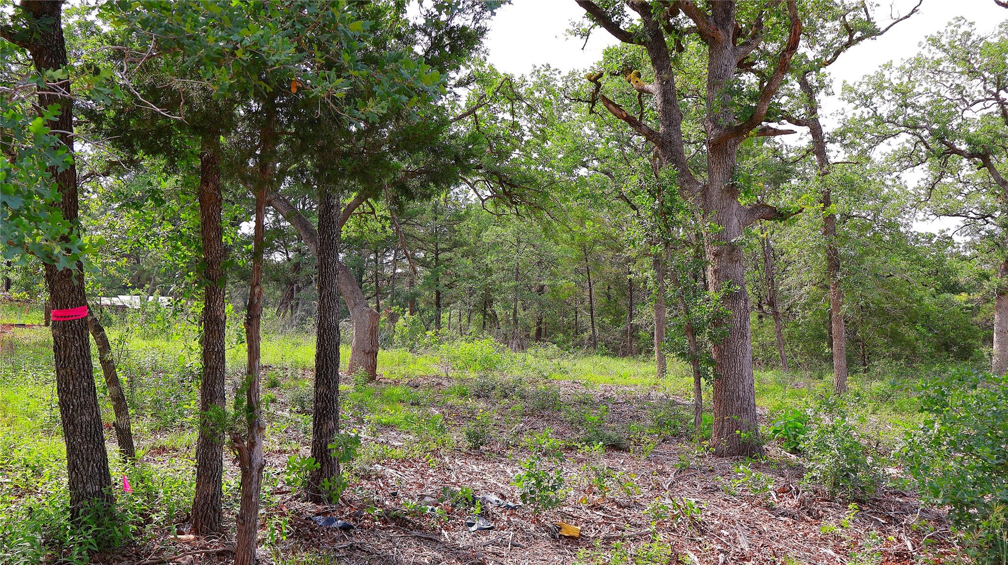 3rd image of 200 Cheyenne Dr, Smithville, TX 78957 | MLS# 7042553