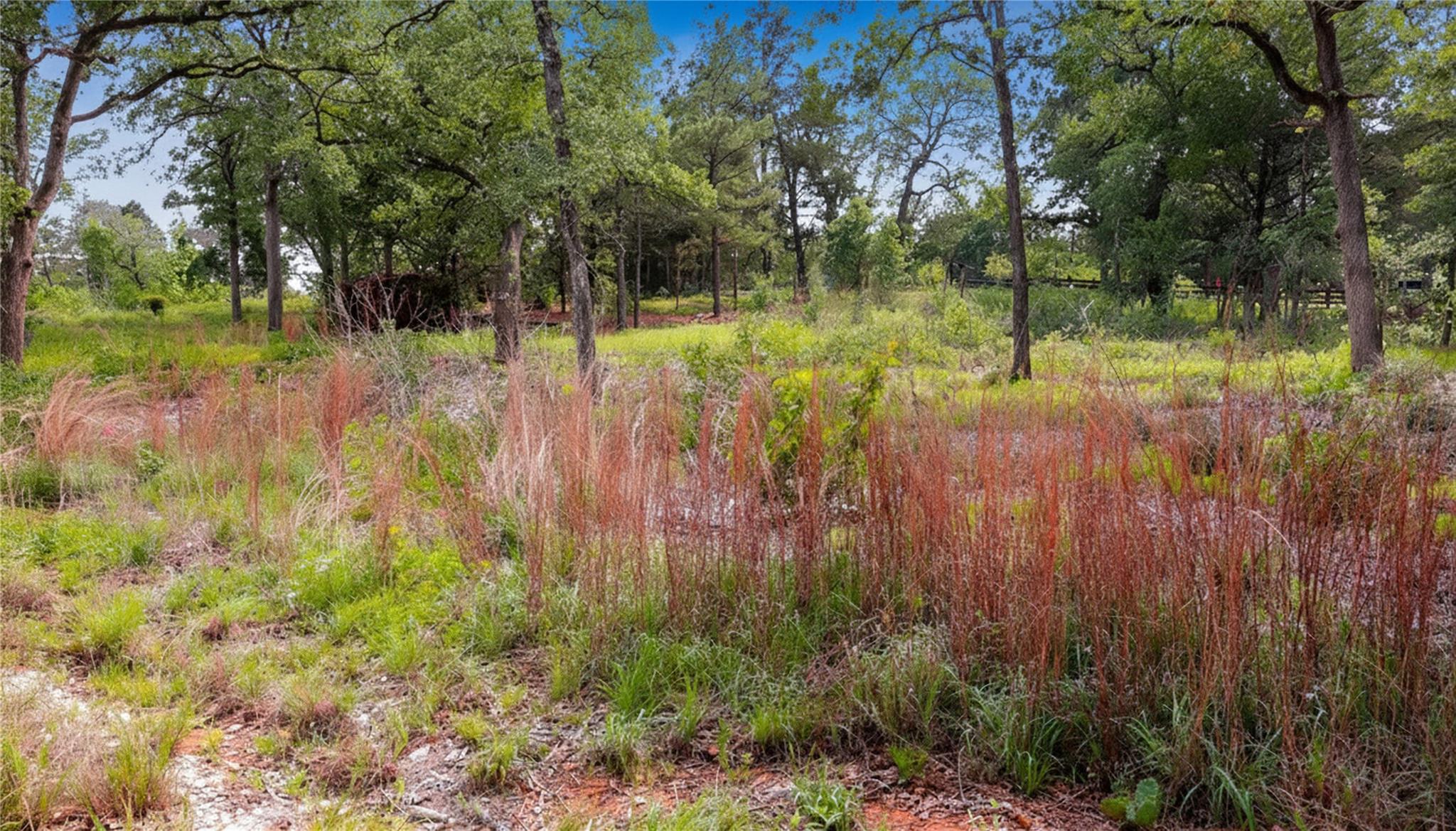 Homes for sale in Smithville, TX | 200 Cheyenne Dr, Smithville, TX 78957 | MLS# 7042553