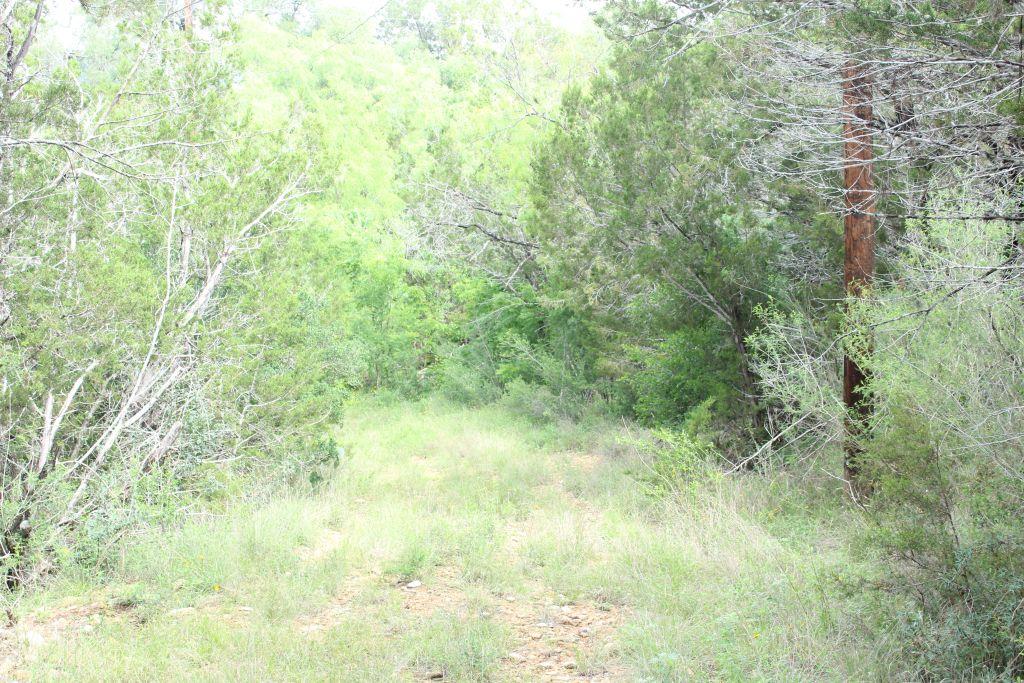4th image of 475 County Road 343-A Rd, Marble Falls, TX 78654 | MLS# 9472997