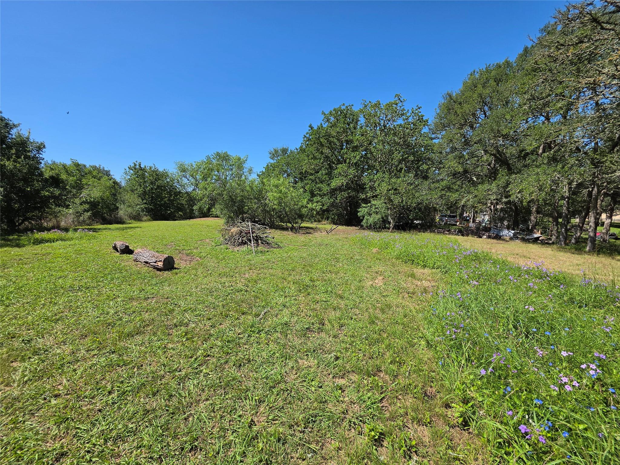 Homes for sale in Smithville, TX | 113 Valley Ln, Smithville, TX 78957 | MLS# 1115859