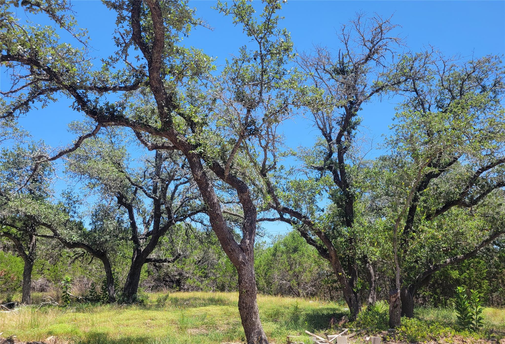 4th image of 638 Bonita Dr, Blanco, TX 78606 | MLS# 6799346