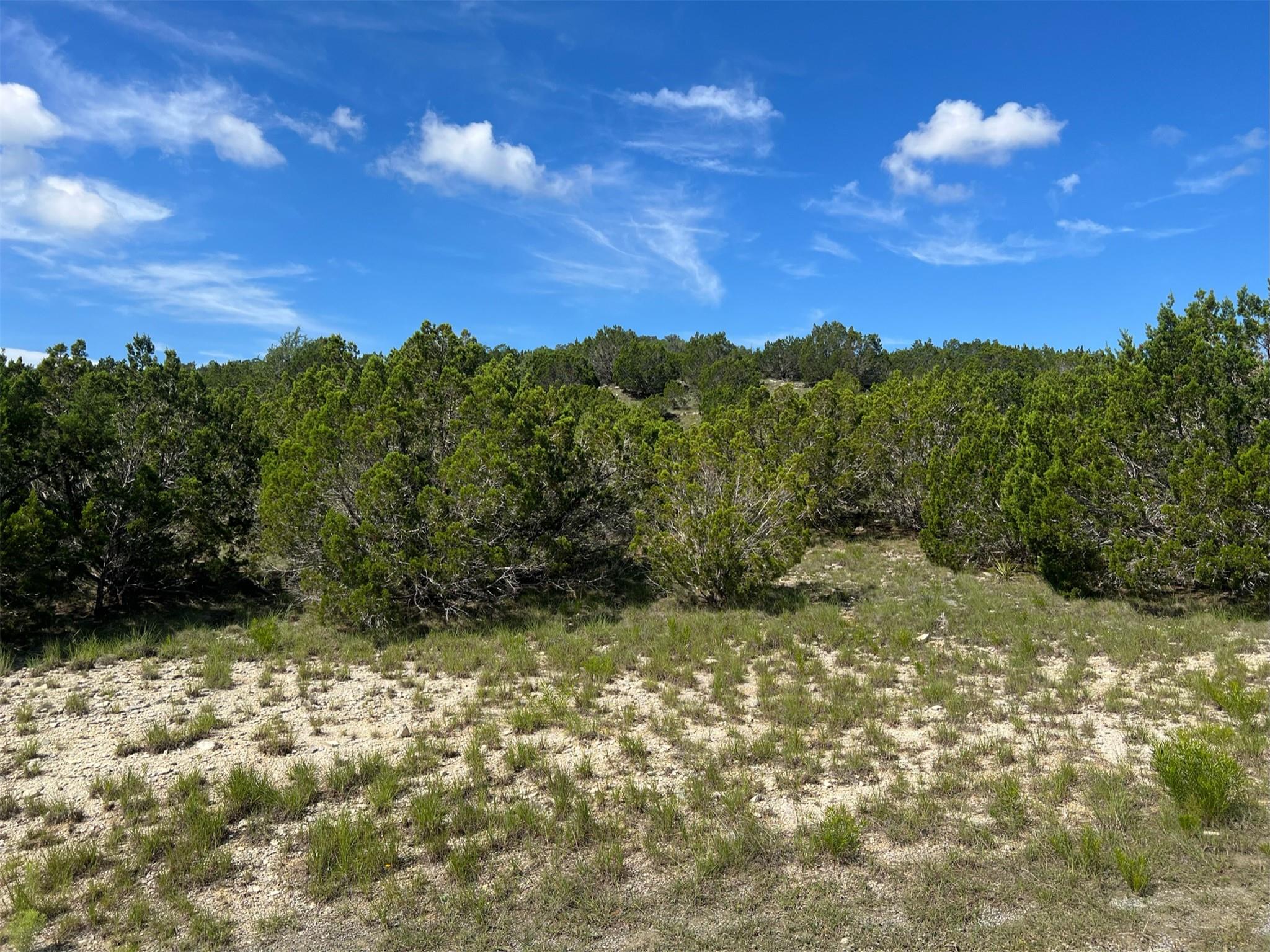 Homes for sale in Bertram, TX | Lot 652 Wagon Wheel Trl, Bertram, TX 78605 | MLS# 2412665