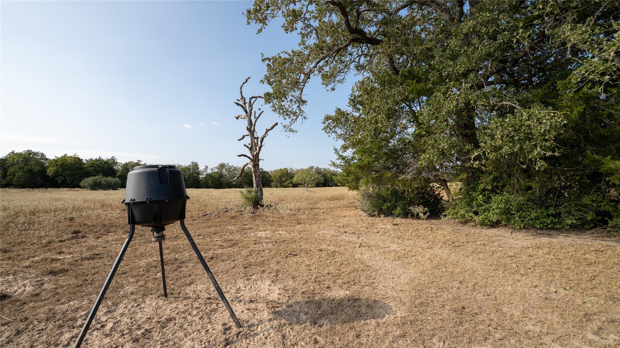 5th image of Tbd Tract 5 Cedar Rock Rd, Rosanky, TX 78953 | MLS# 7850836