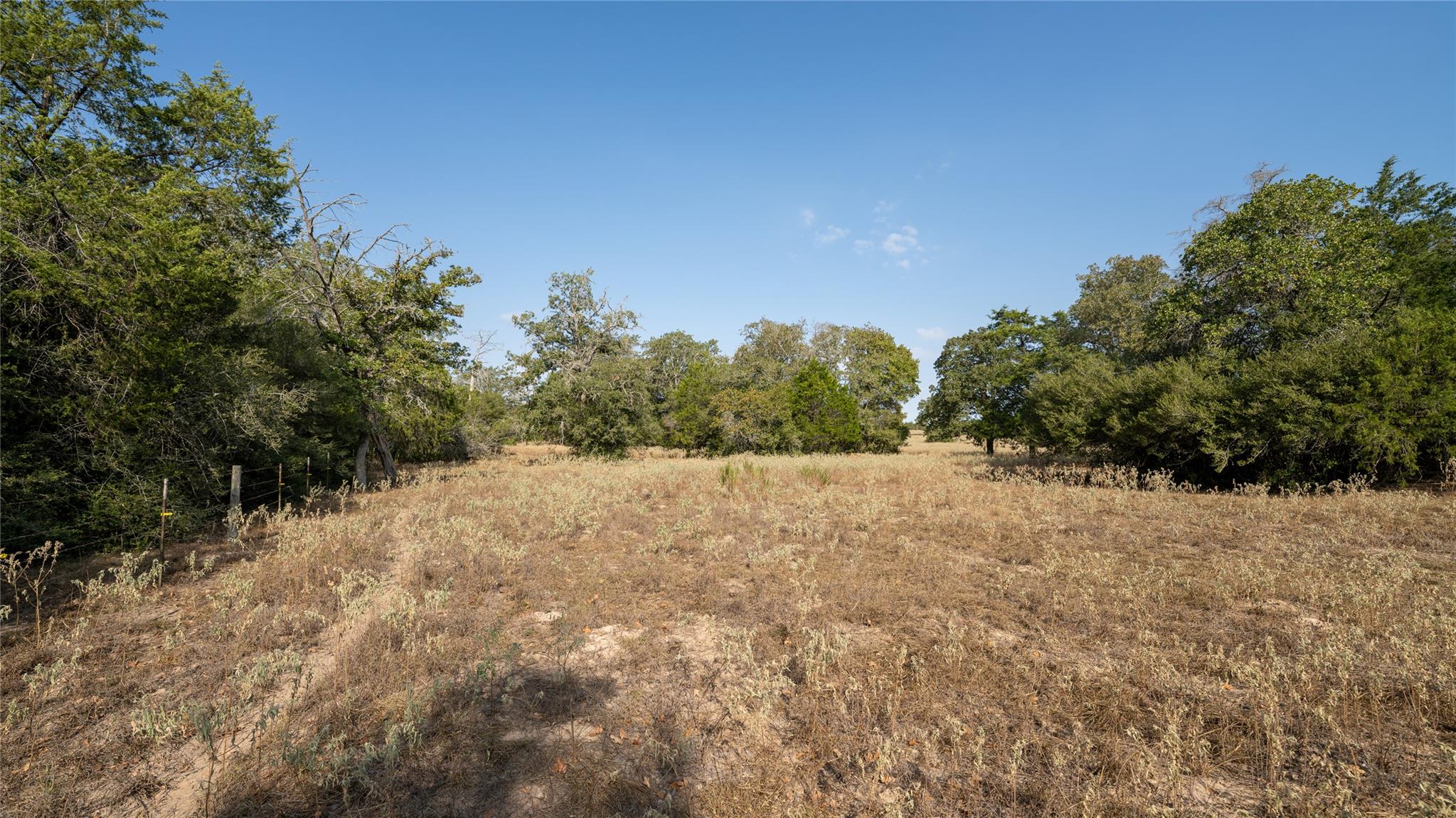 2nd image of Tbd Tract 5 Cedar Rock Rd, Rosanky, TX 78953 | MLS# 7850836