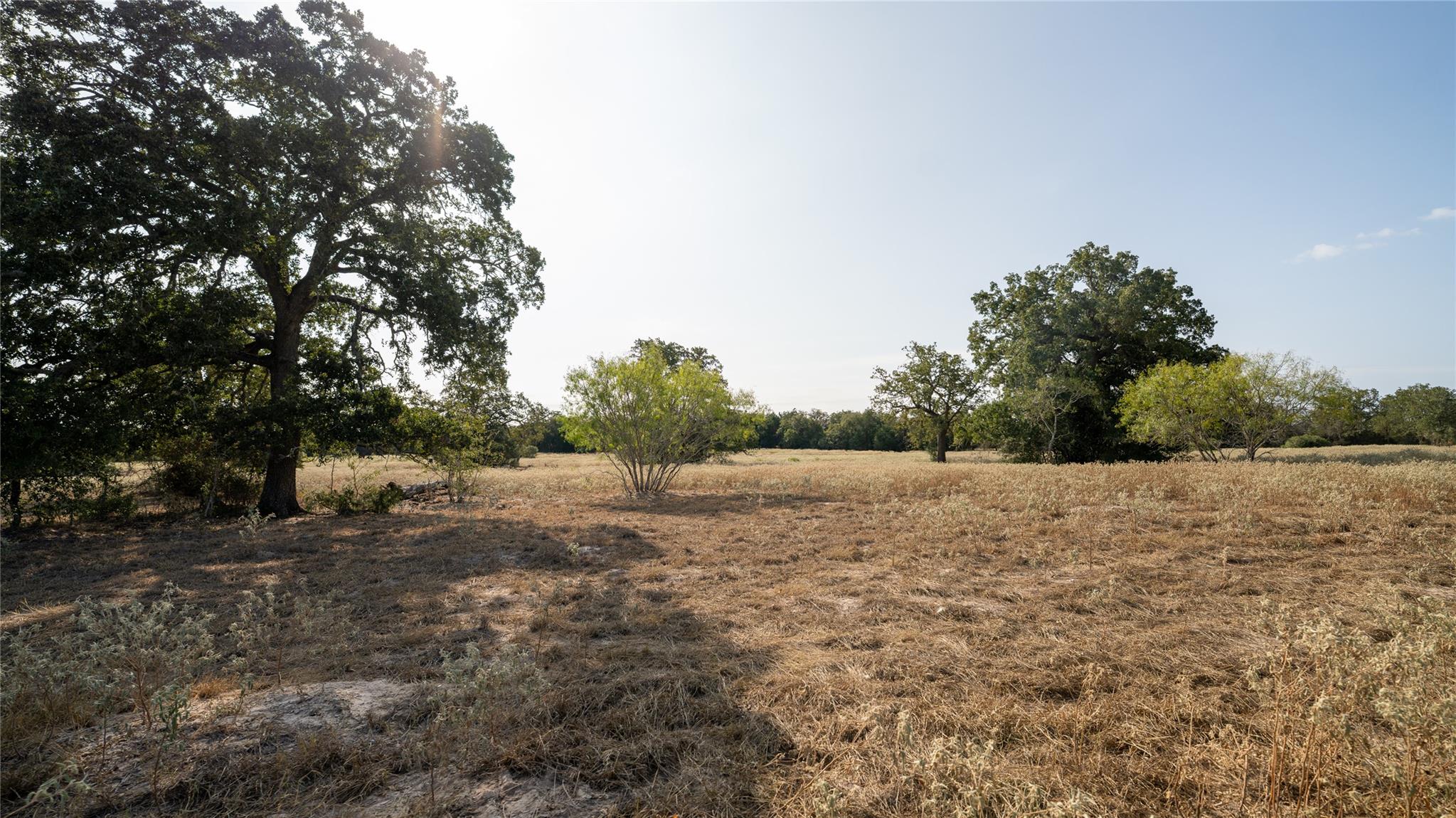 4th image of Tbd Tract 5 Cedar Rock Rd, Rosanky, TX 78953 | MLS# 7850836