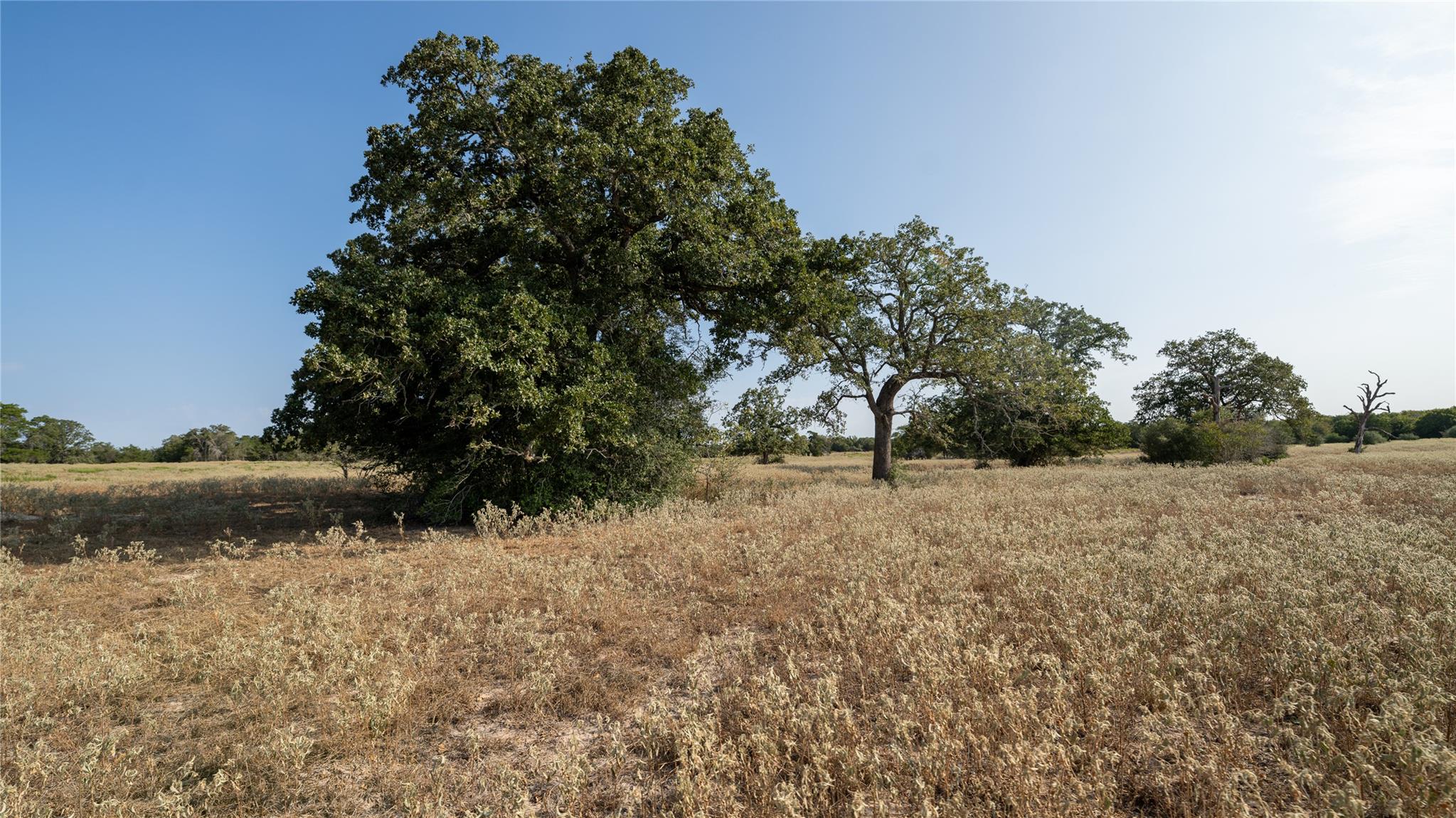 3rd image of Tbd Tract 5 Cedar Rock Rd, Rosanky, TX 78953 | MLS# 7850836