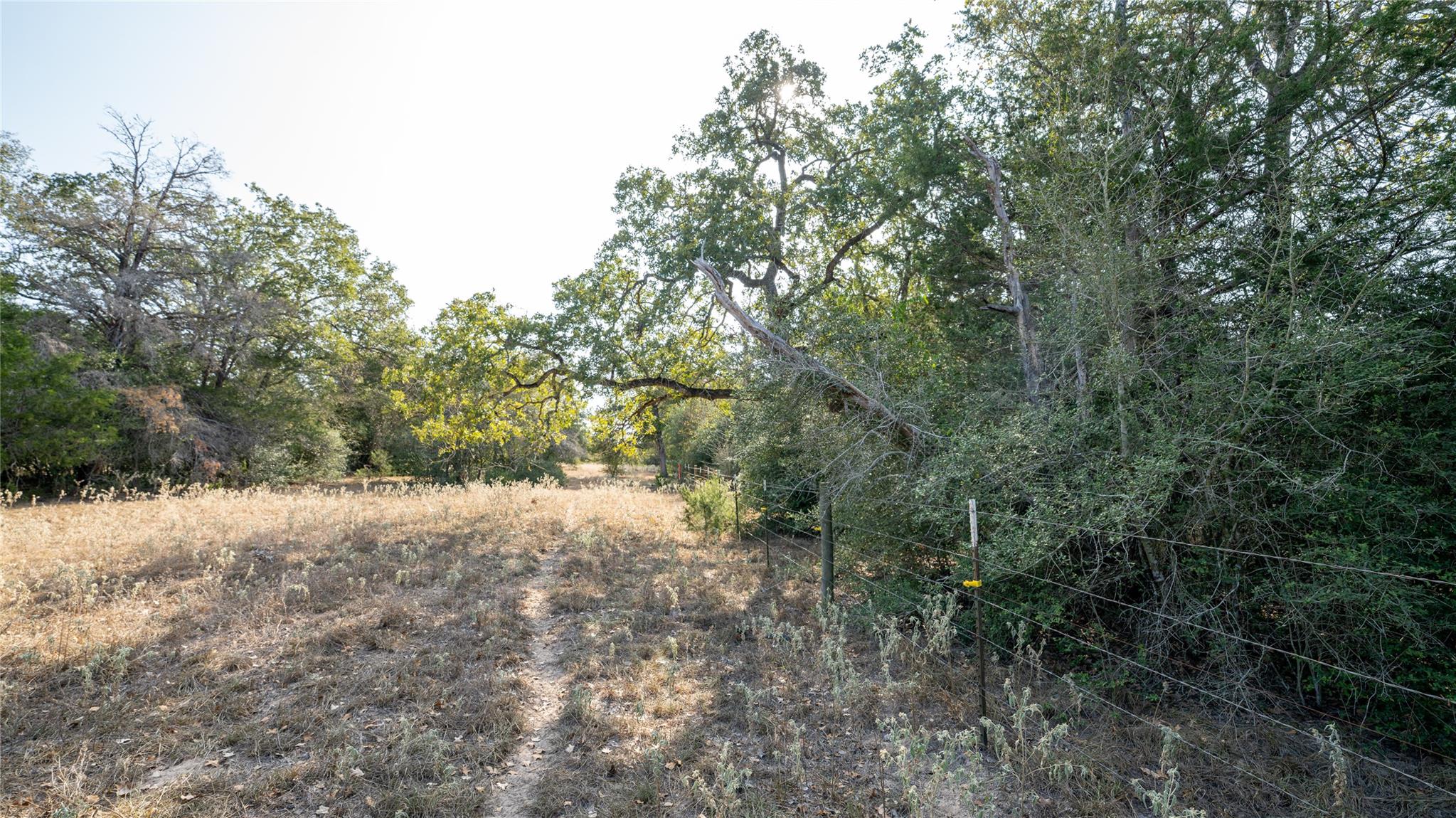 10th image of Tbd Tract 5 Cedar Rock Rd, Rosanky, TX 78953 | MLS# 7850836