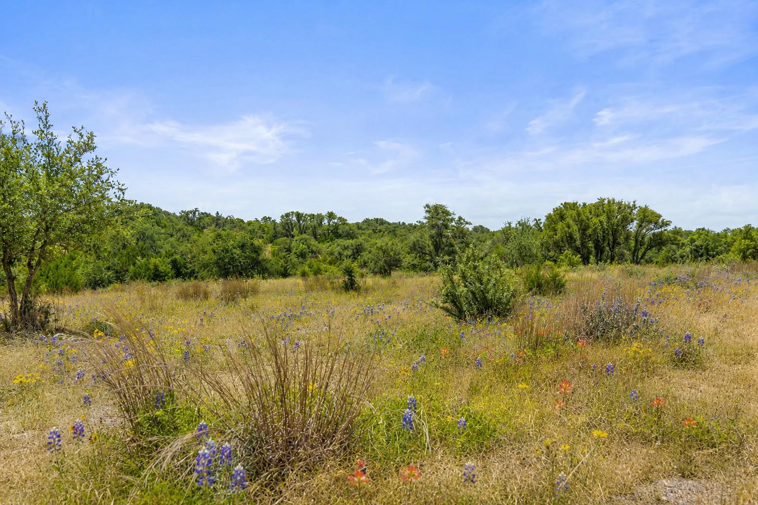 2nd image of 207 Verbena Rd, Johnson City, TX 78636 | MLS# 6605489