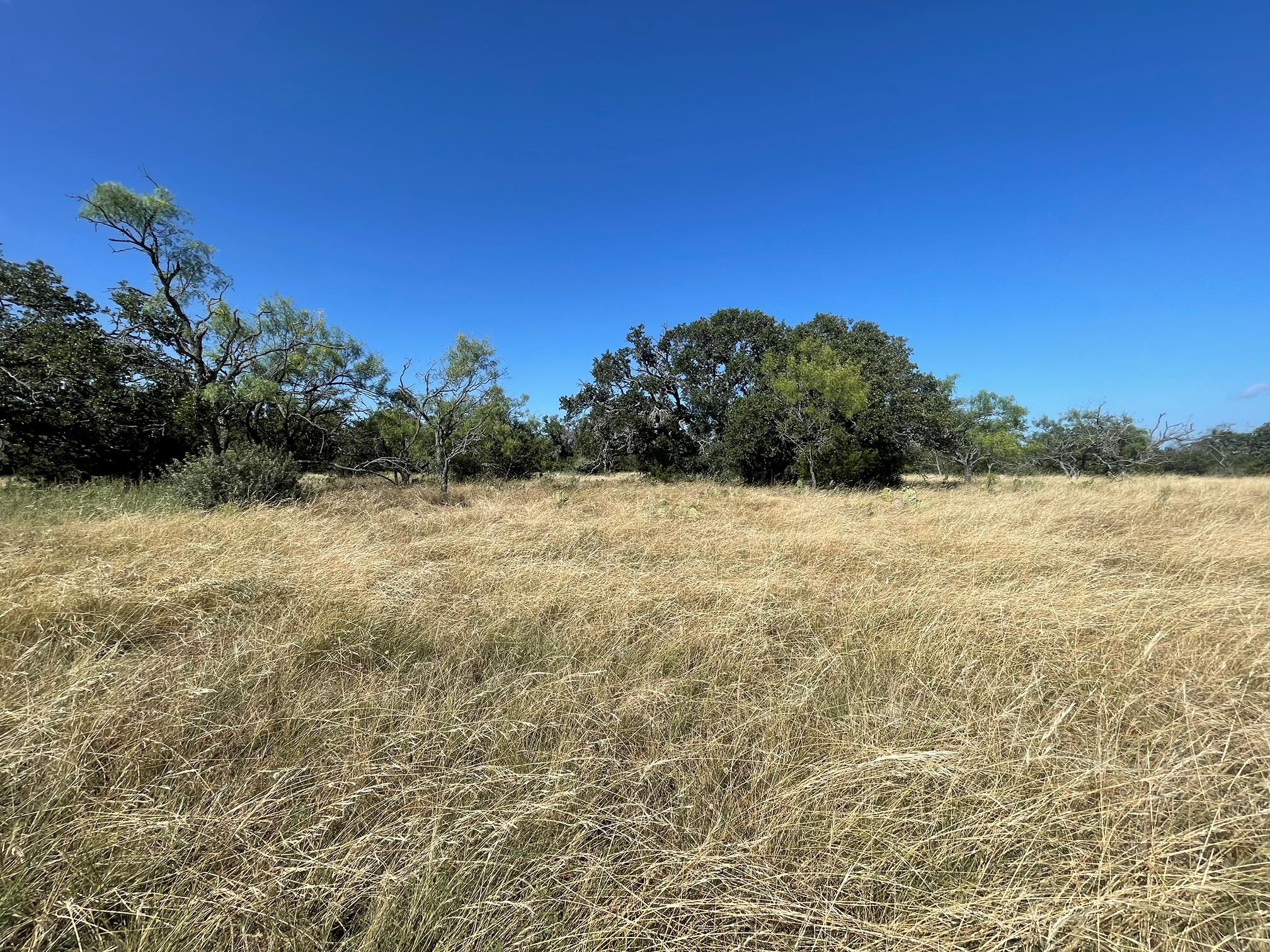 5th image of Lot 200 Swamp Creek Cove, Burnet, TX 78611 | MLS# 7033386