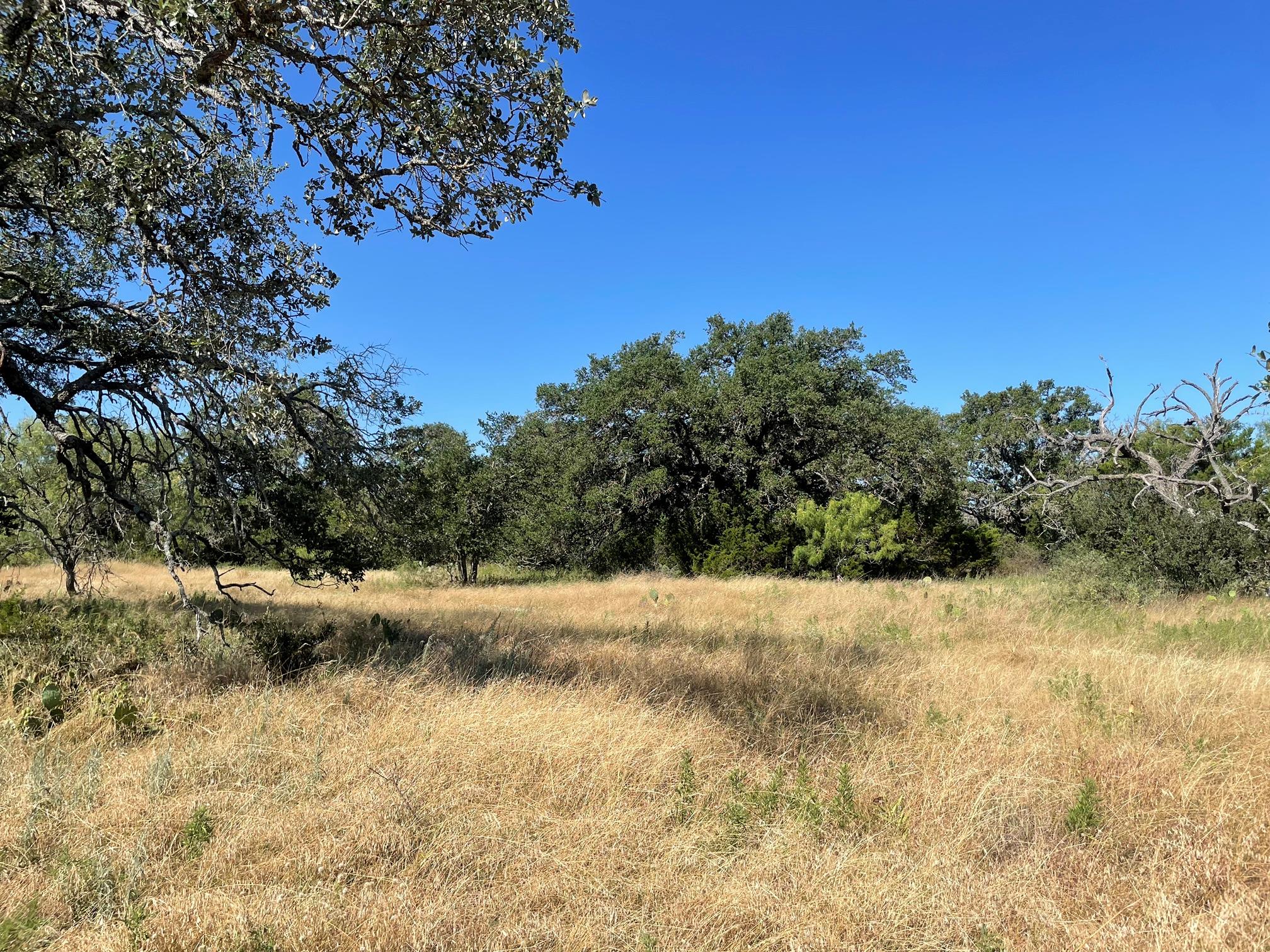 2nd image of Lot 200 Swamp Creek Cove, Burnet, TX 78611 | MLS# 7033386