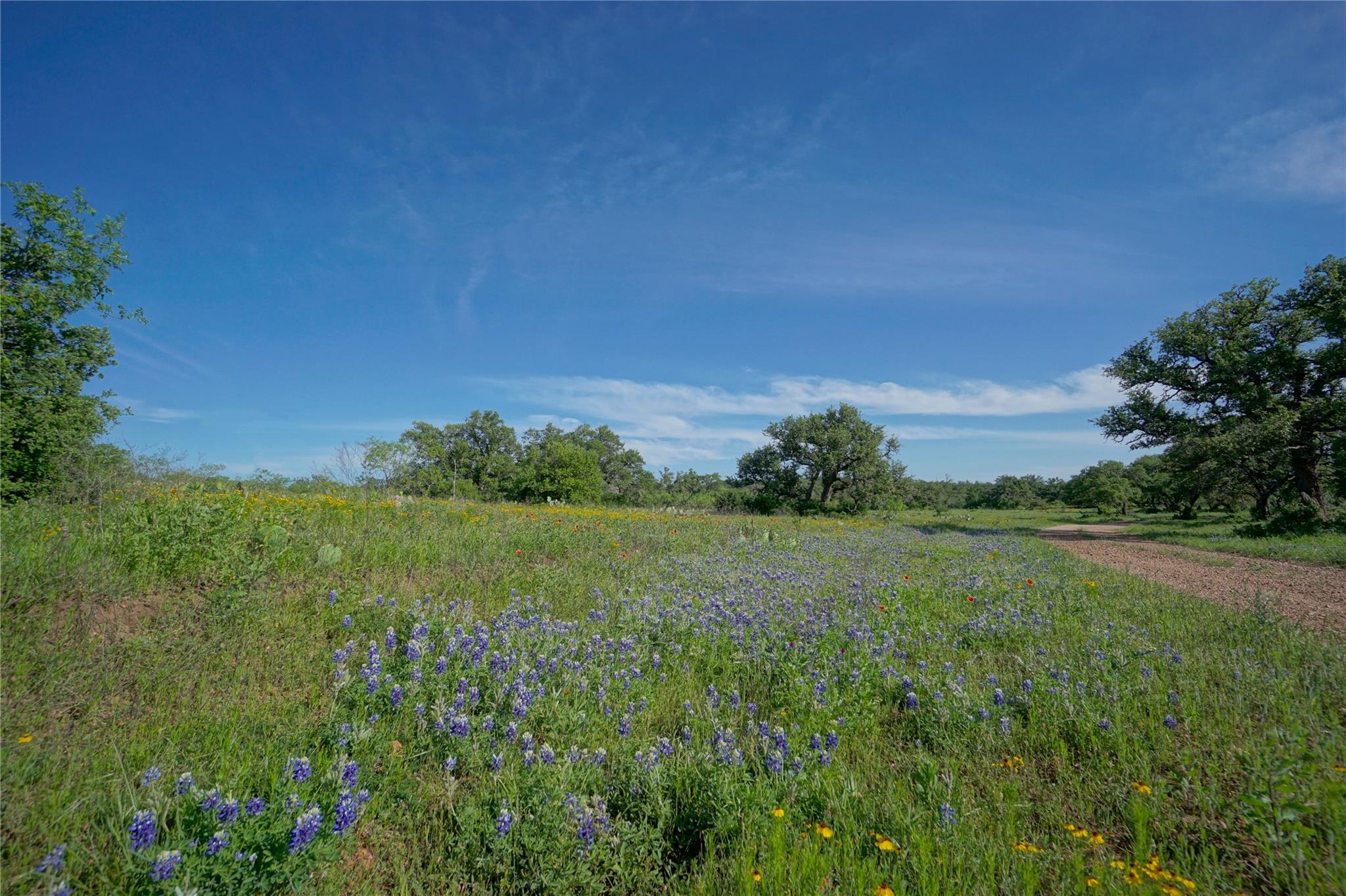 4th image of Lot 200 Swamp Creek Cove, Burnet, TX 78611 | MLS# 7033386