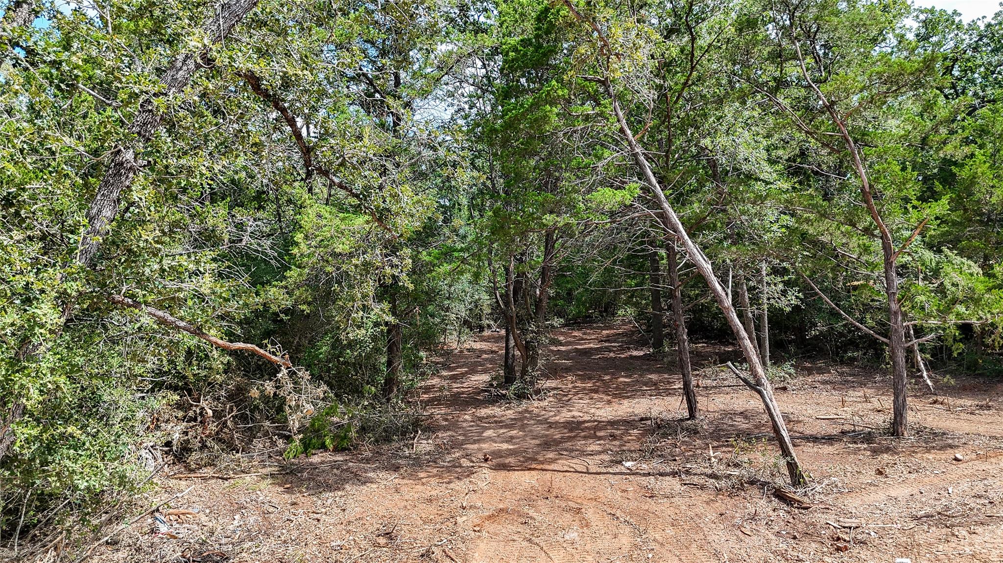 5th image of 115 Eaglenest Ct, Smithville, TX 78957 | MLS# 5933935