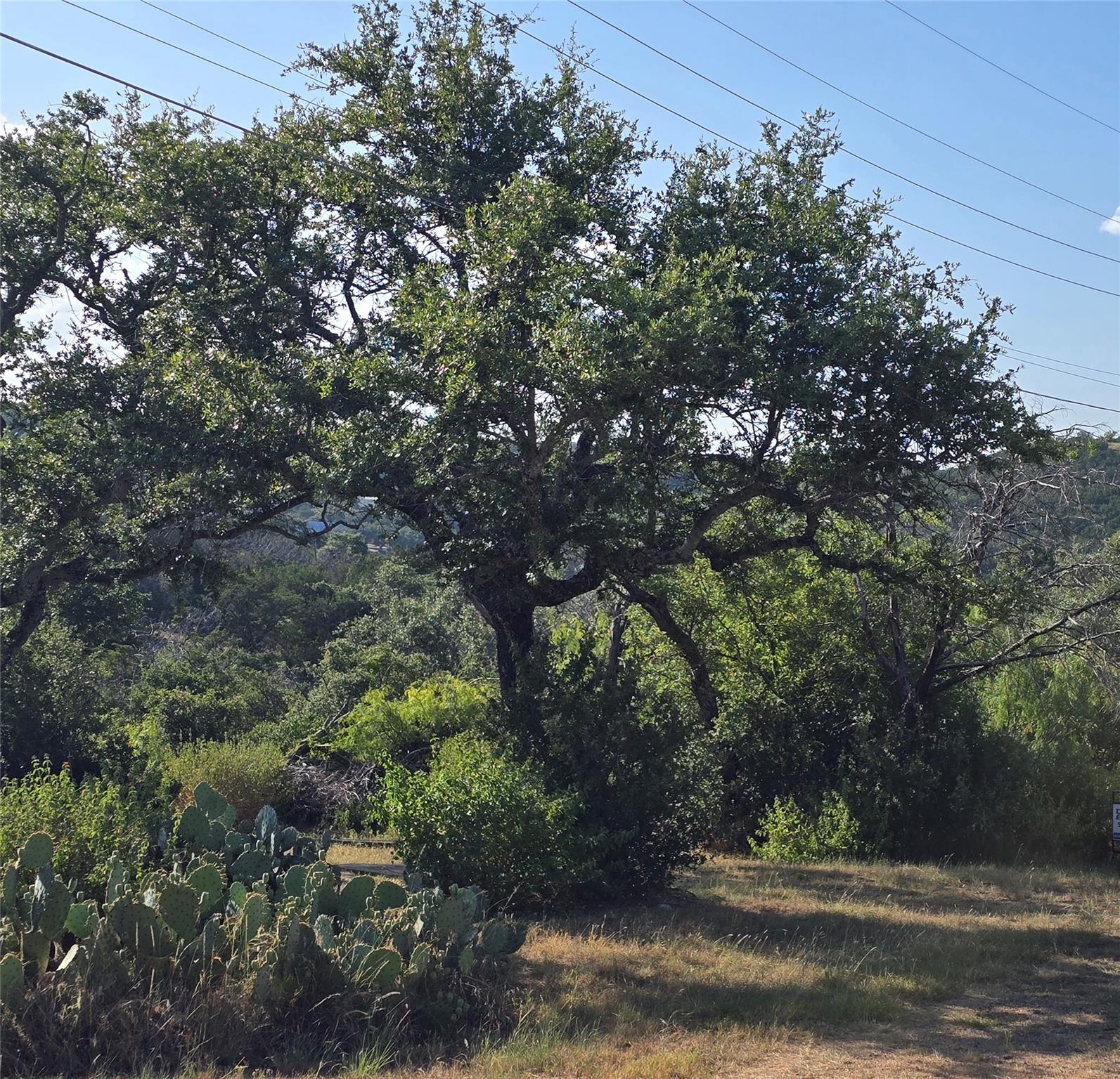 1st image of Tbd Elm Rd, Burnet, TX 78611 | MLS# 7736856