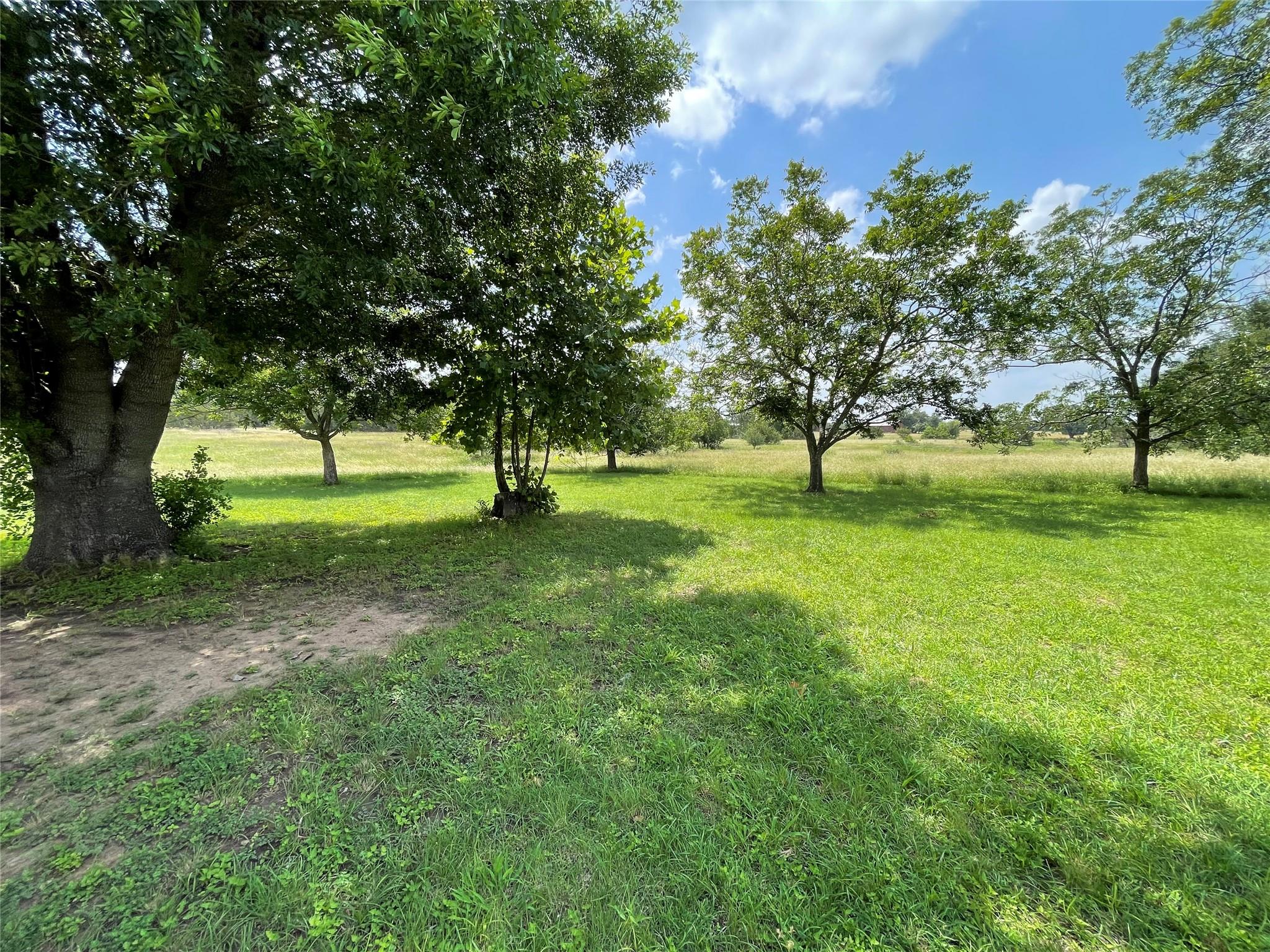 5th image of 1435 County Road 108, Burnet, TX 78611 | MLS# 3121243