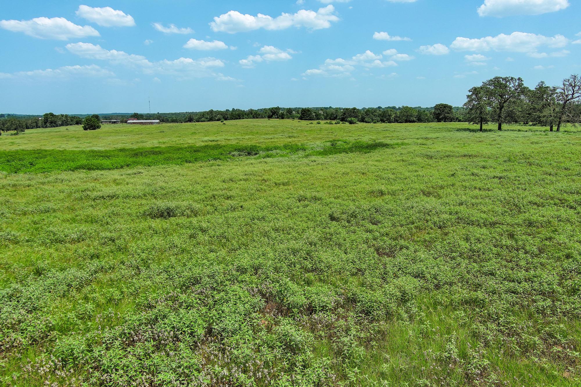 32nd image of Tbd Hofferek Rd, Rosanky, TX 78953 | MLS# 6772900