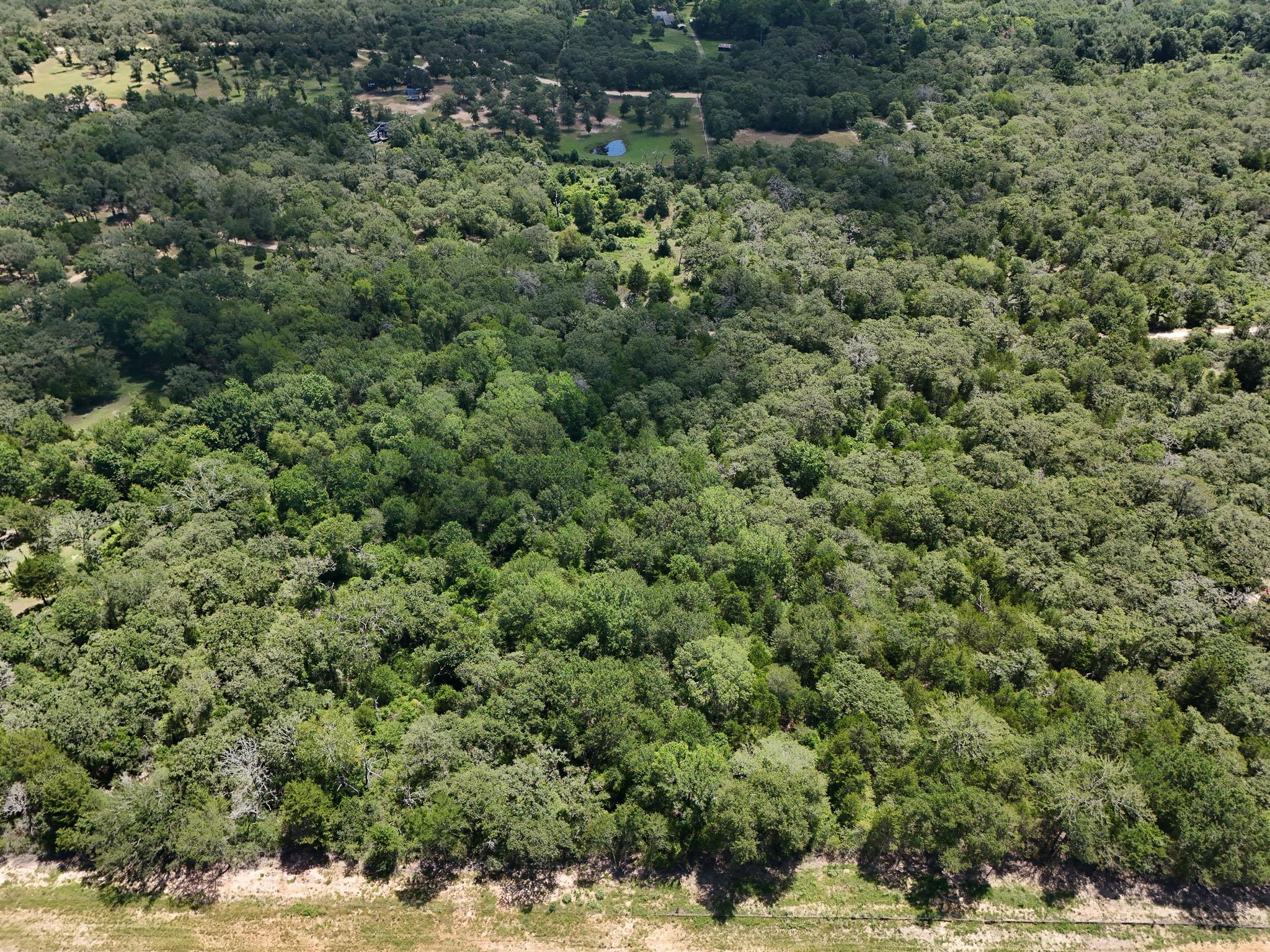 4th image of Tbd Starlight Path, Caldwell, TX 77836 | MLS# 9808349