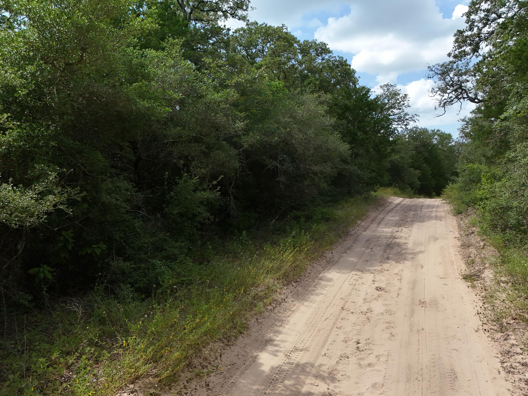 5th image of Tbd Starlight Path, Caldwell, TX 77836 | MLS# 9808349