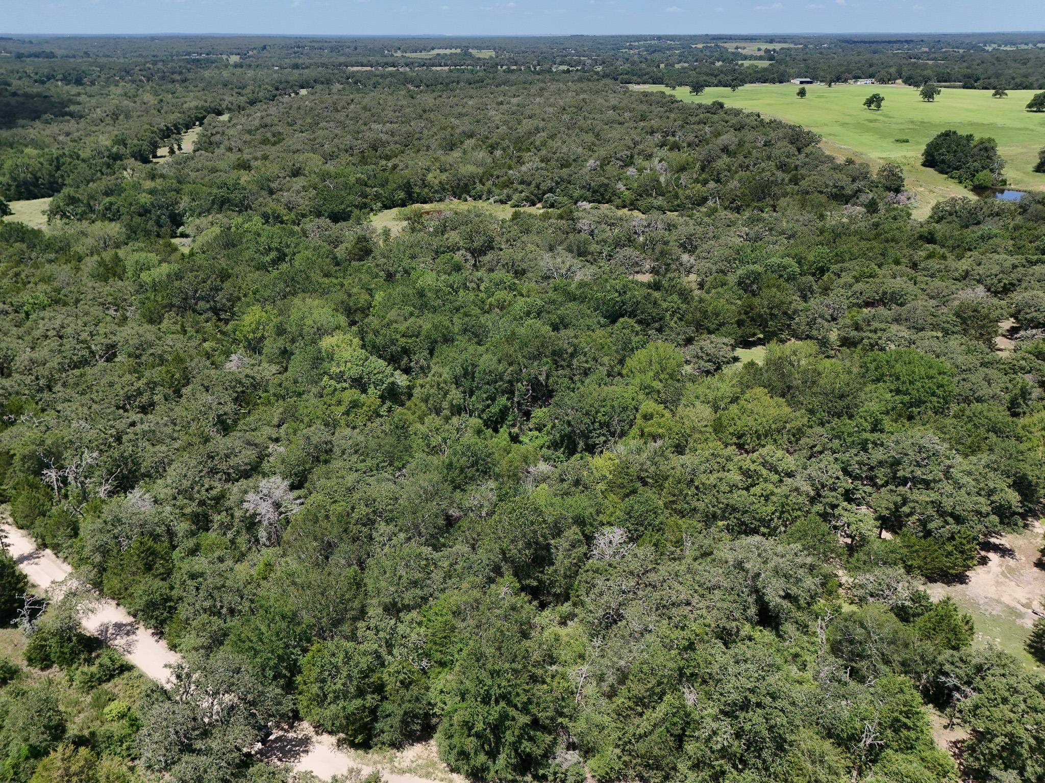 6th image of Tbd Starlight Path, Caldwell, TX 77836 | MLS# 9808349