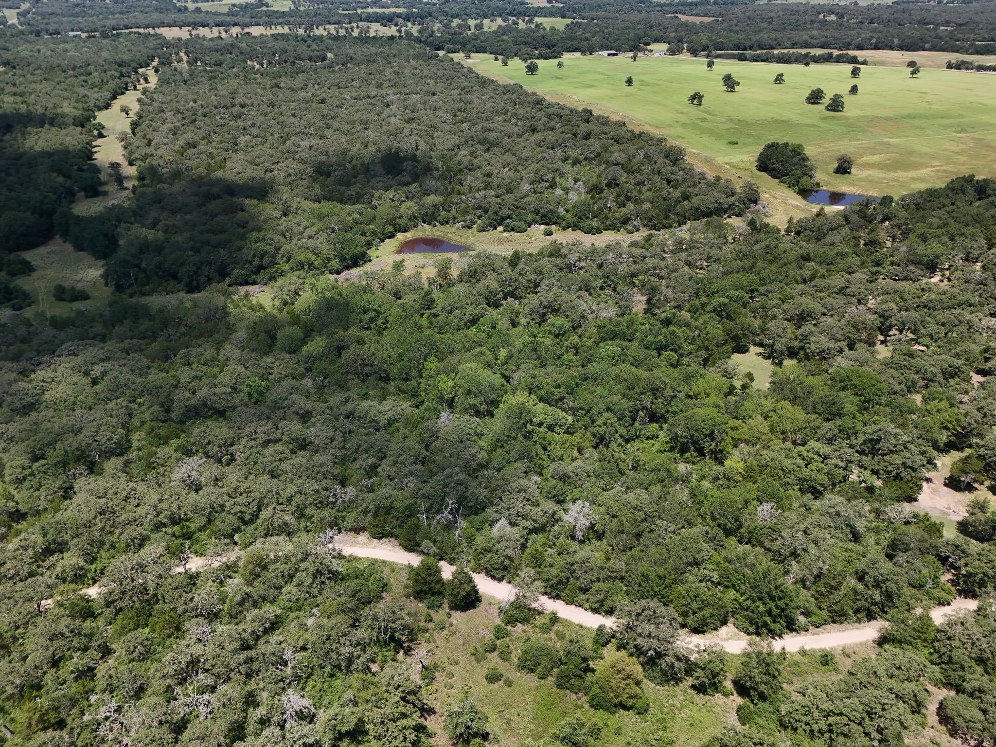 3rd image of Tbd Starlight Path, Caldwell, TX 77836 | MLS# 9808349