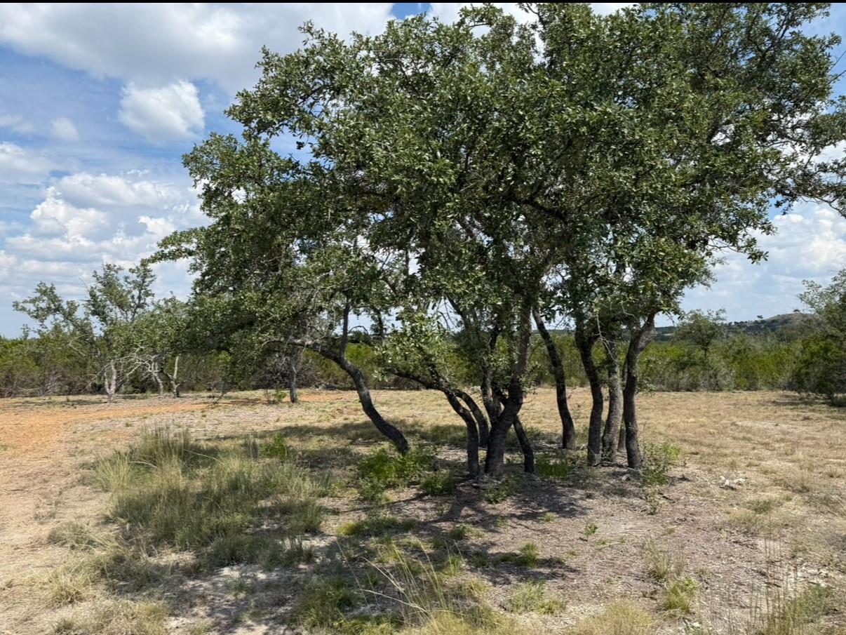 3rd image of Lot 36 - 665 Acres - Round Mountain Reserve Dr, Round Mountain, TX 78663 | MLS# 8655200