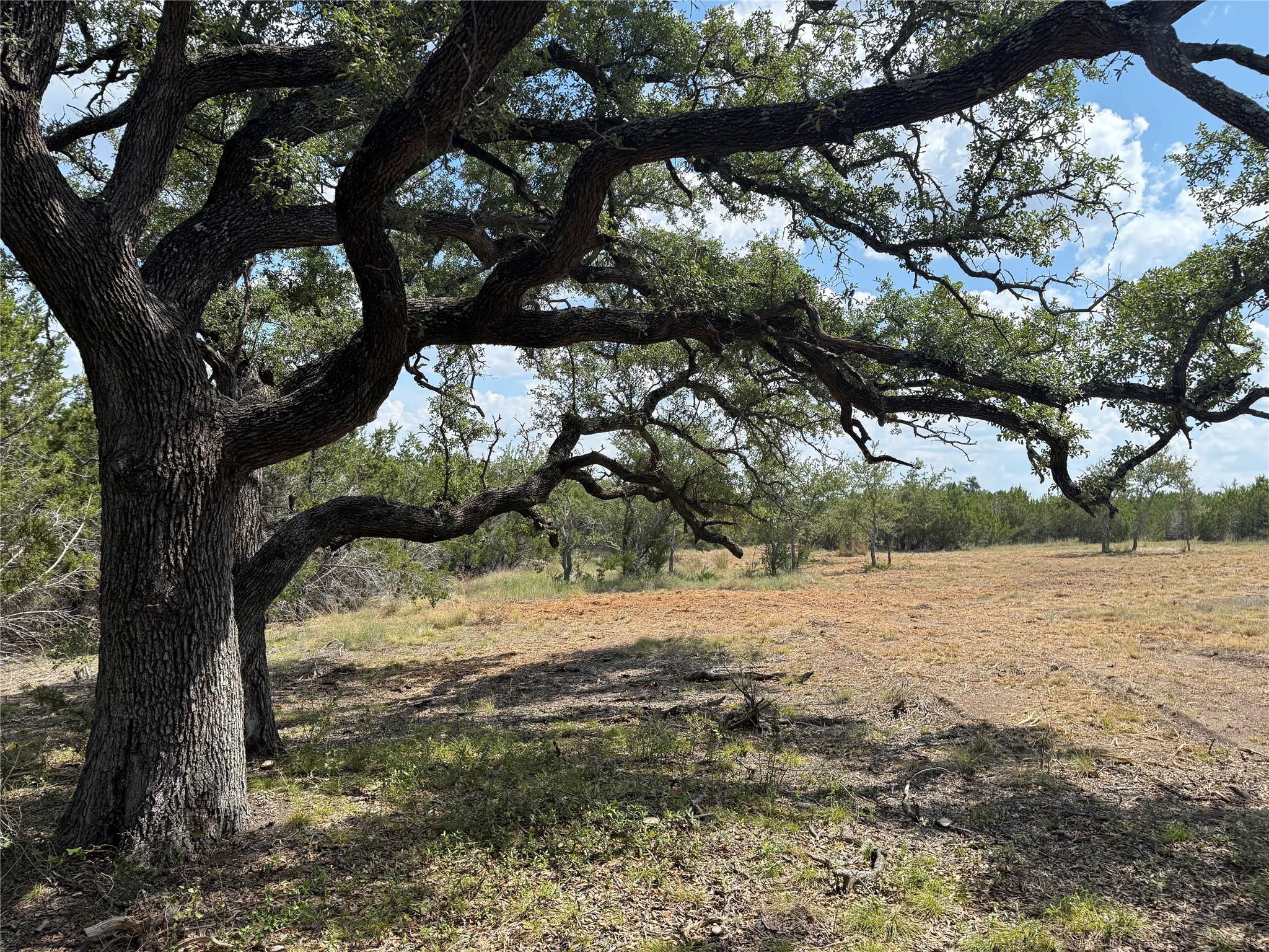 10th image of Lot 36   665 Acres   Round Mountain Reserve Dr, Round Mountain, TX 78663 | MLS# 8655200