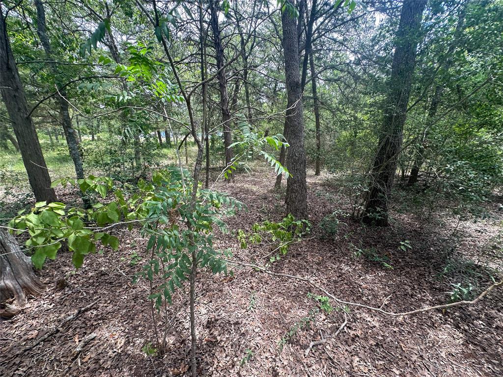 5th image of 246 Arrowhead Dr, Smithville, TX 78957 | MLS# 7134897