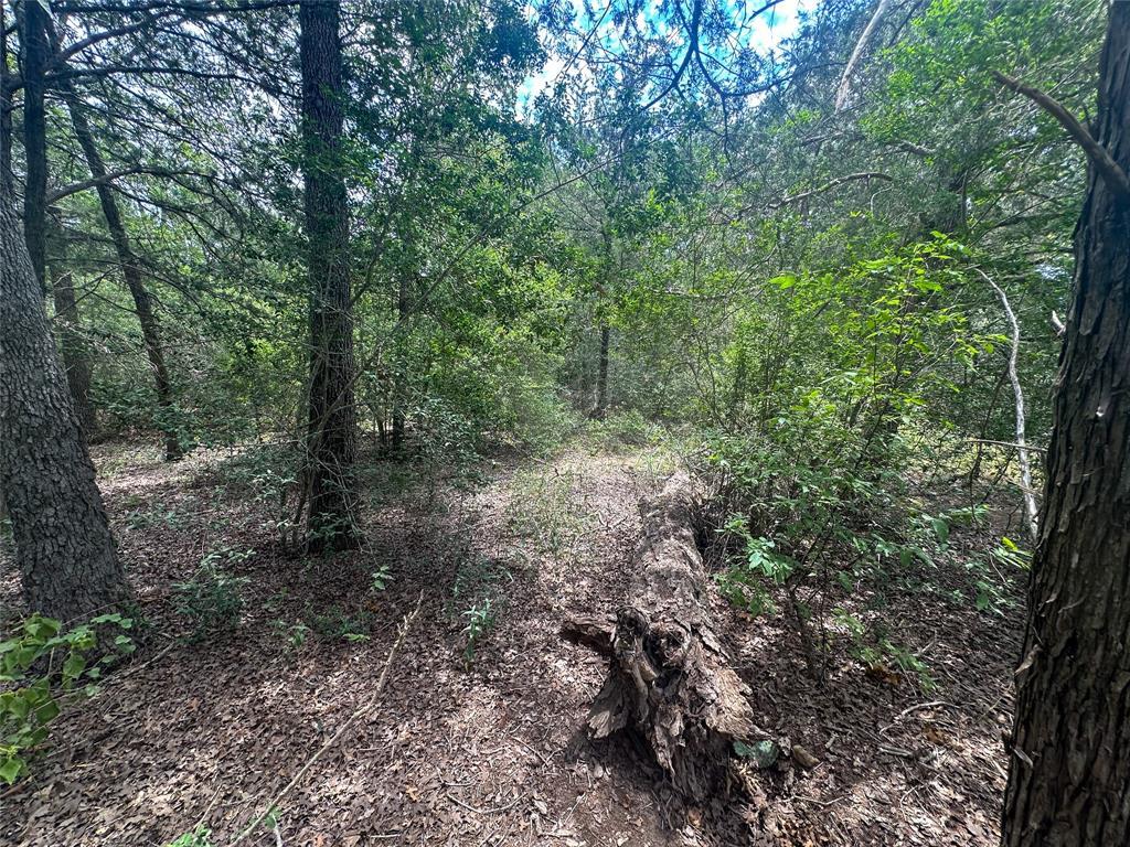 4th image of 246 Arrowhead Dr, Smithville, TX 78957 | MLS# 7134897
