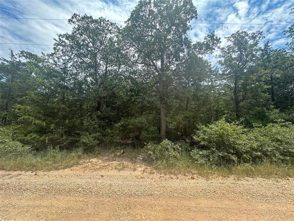 3rd image of 246 Arrowhead Dr, Smithville, TX 78957 | MLS# 7134897