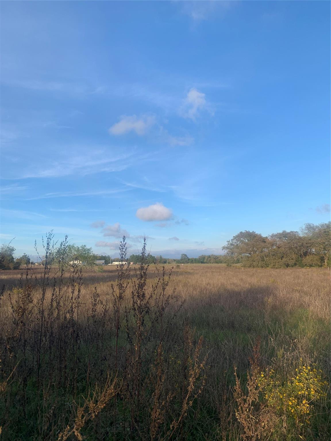 2nd image of Tbd Main St, Rosanky, TX 78953 | MLS# 7175078