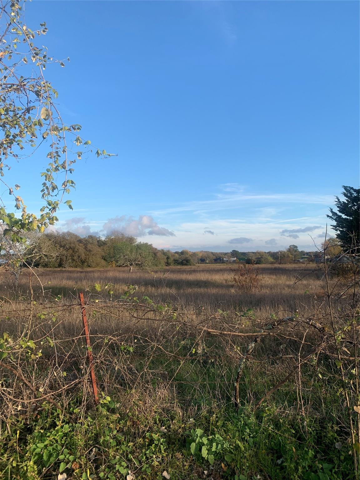 5th image of Tbd Main St, Rosanky, TX 78953 | MLS# 7175078